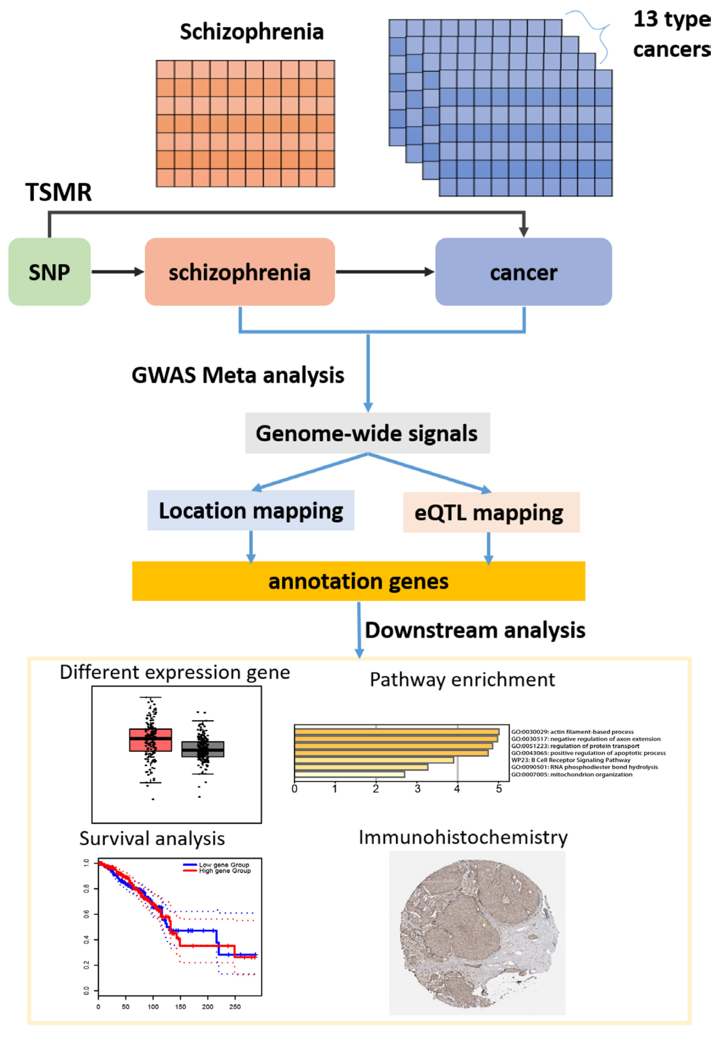 Biology 11 01345 g001 Biology 11 01345 g001