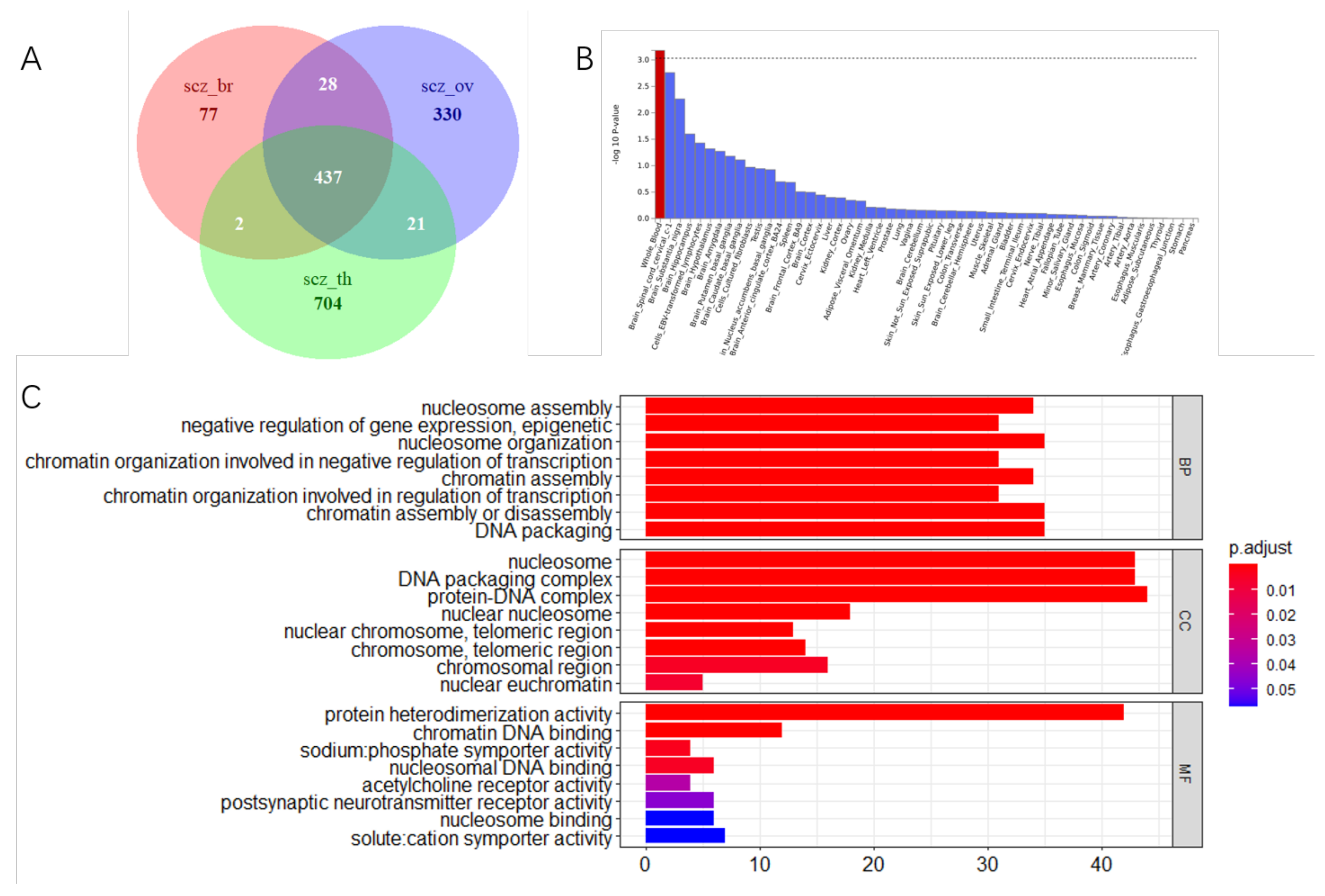 Biology 11 01345 g004 Biology 11 01345 g004