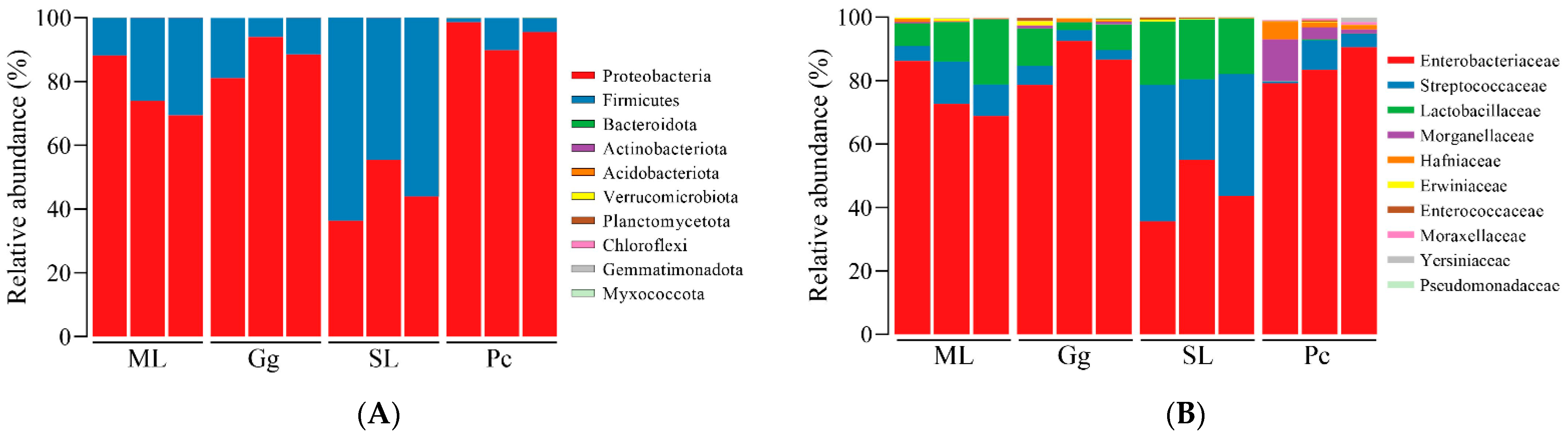 Biology 11 01347 g004