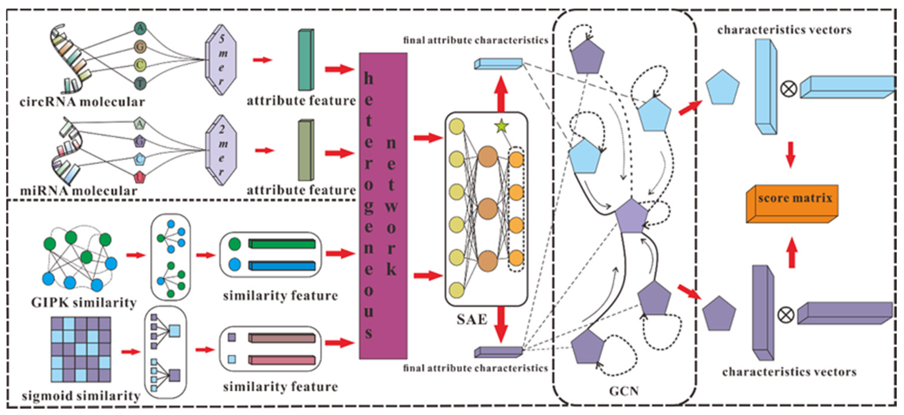 Biology 11 01350 g003 550