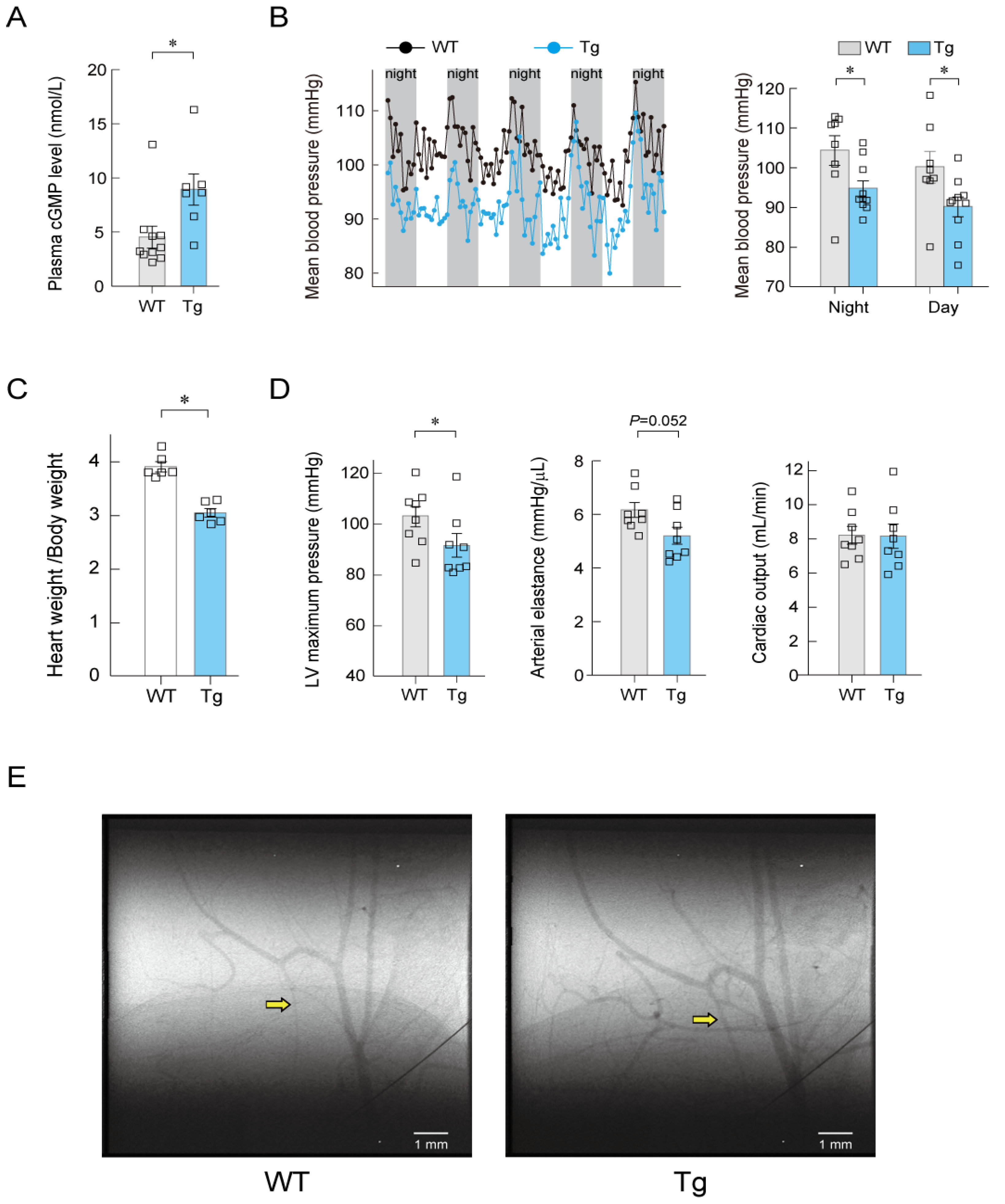 Biology 11 01351 g008 550