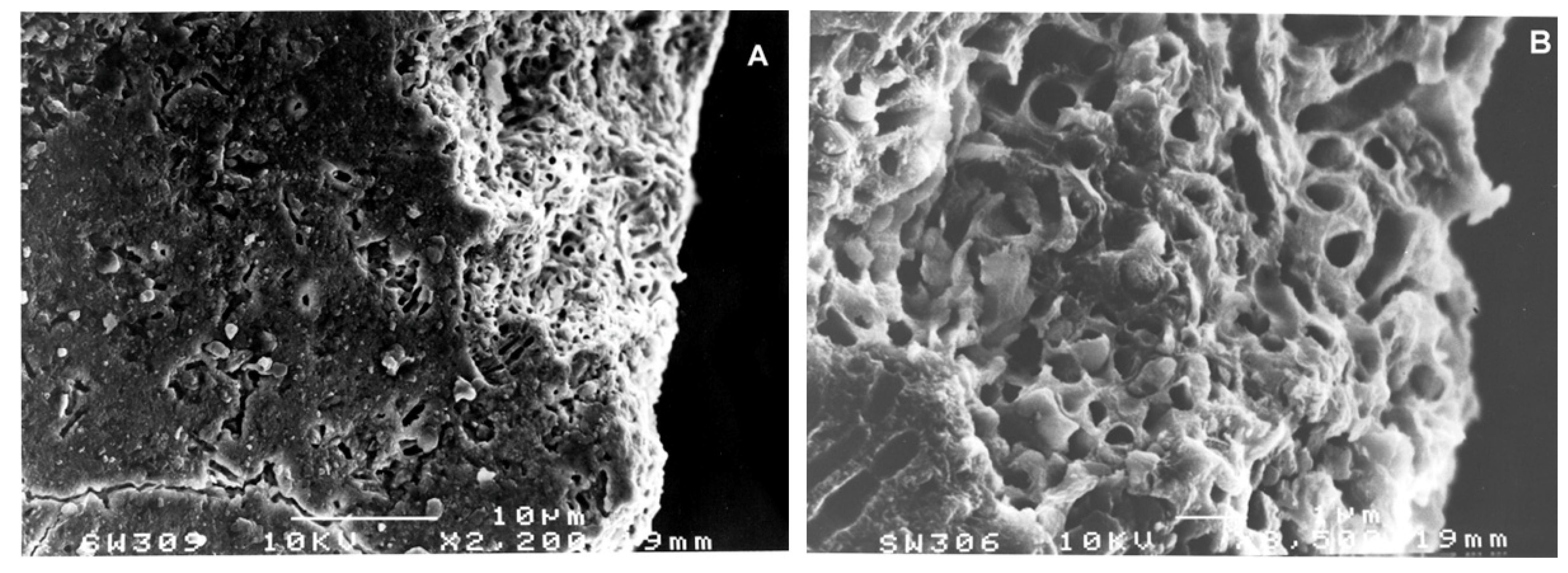 Biology 11 01352 g002