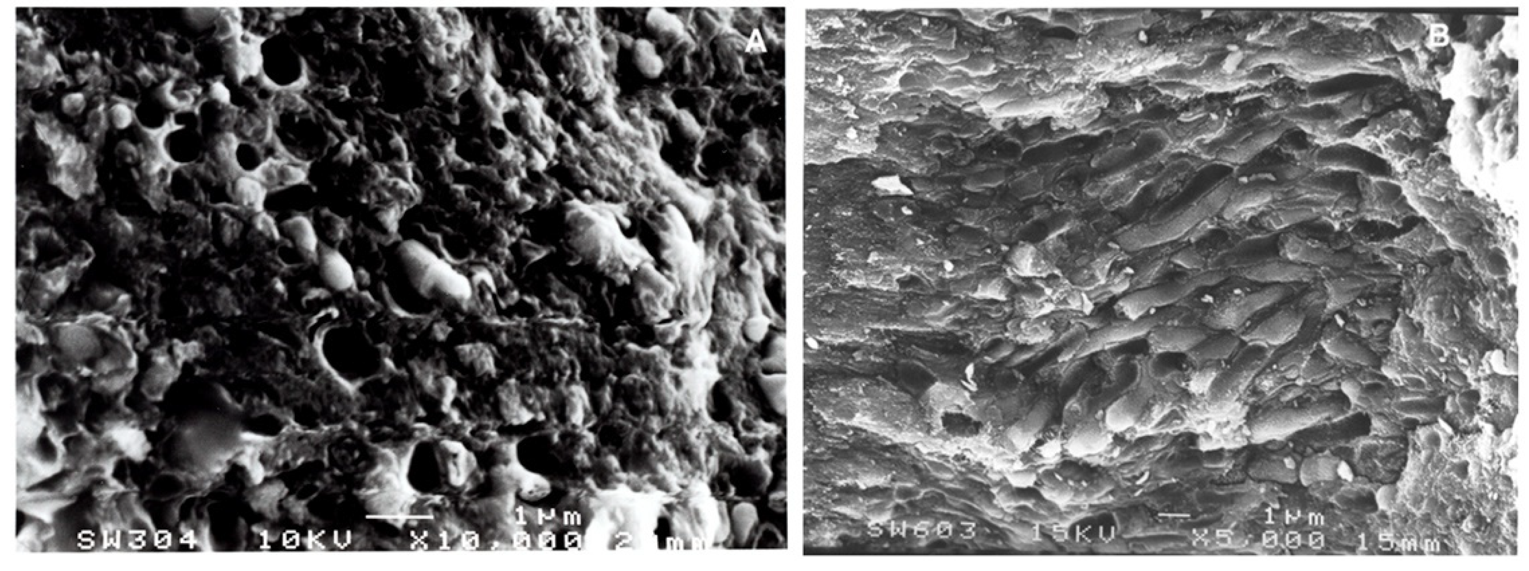 Biology 11 01352 g003