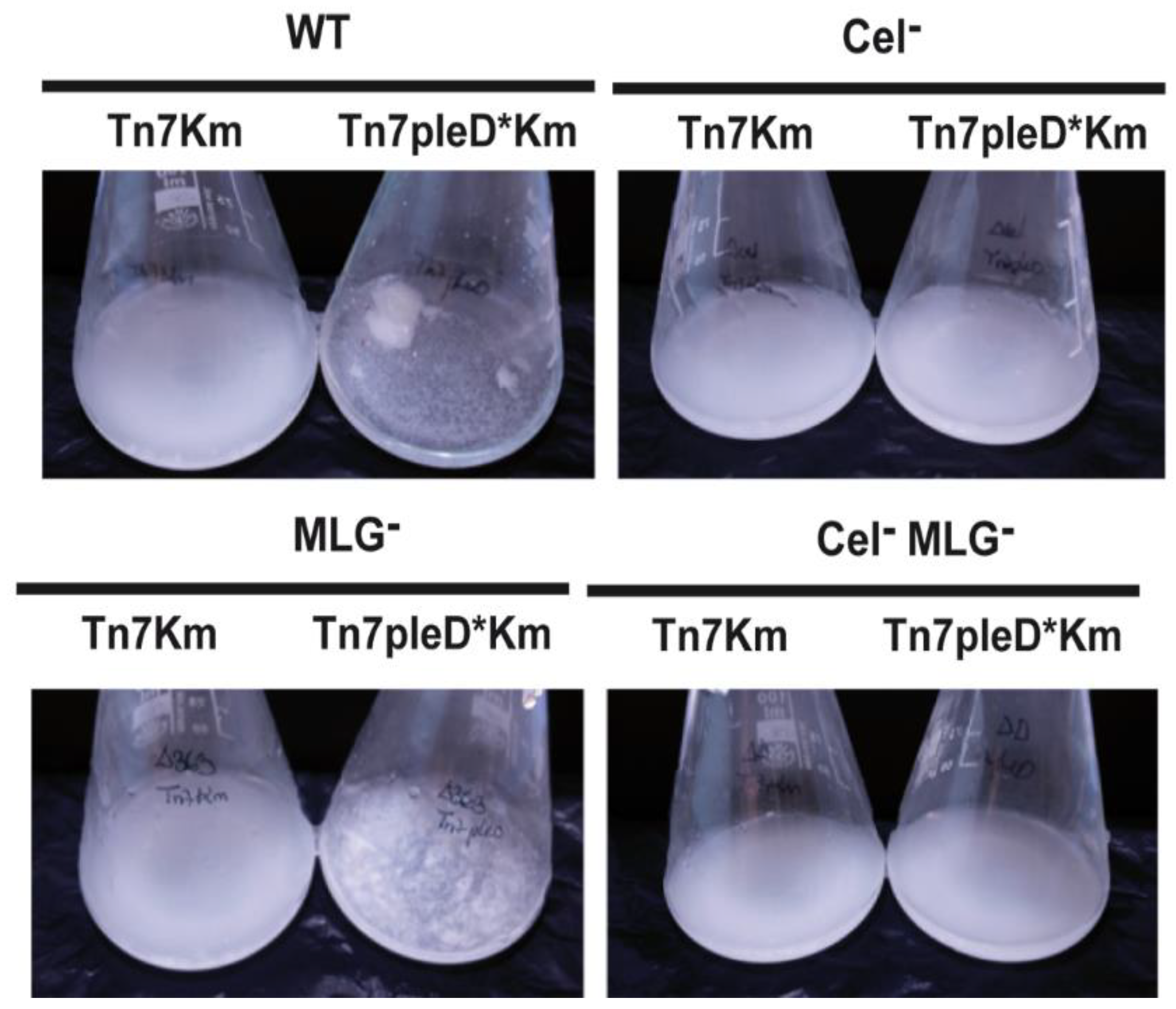 Biology 11 01364 g003