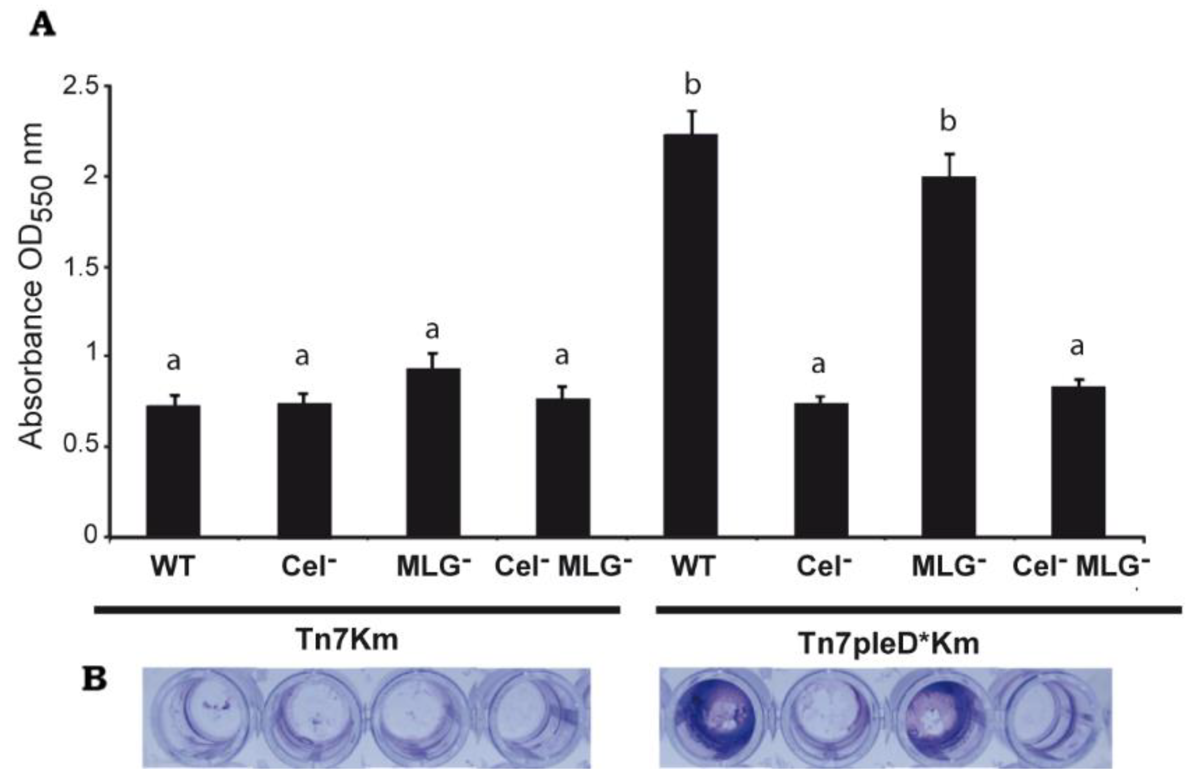 Biology 11 01364 g004