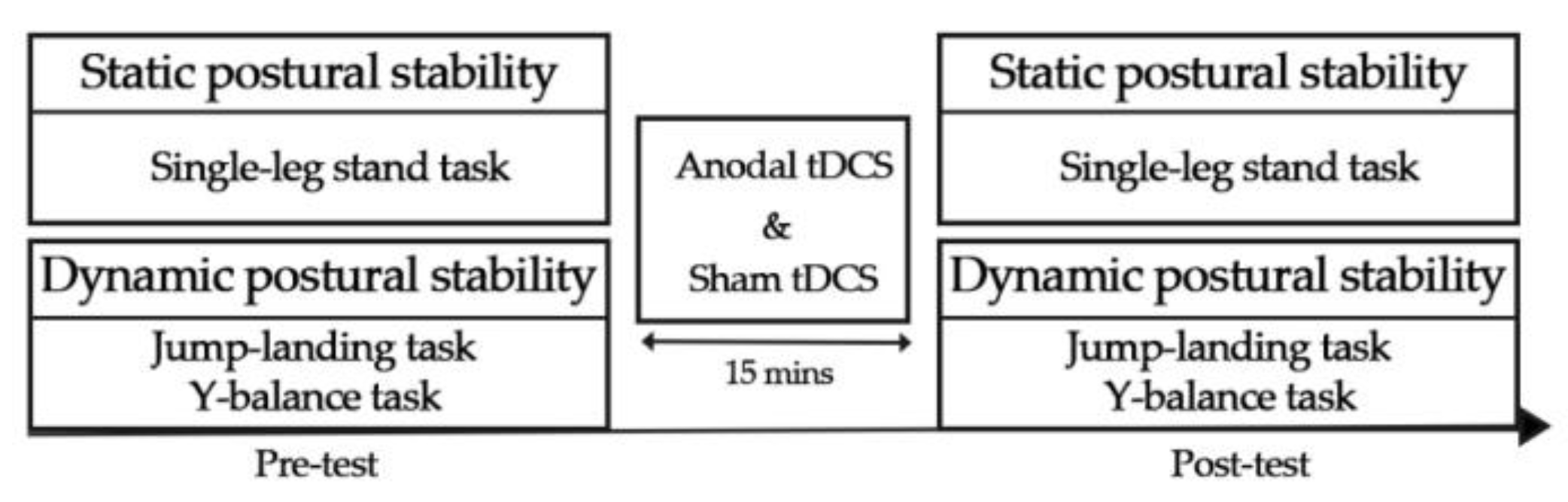 Biology 11 01370 g001
