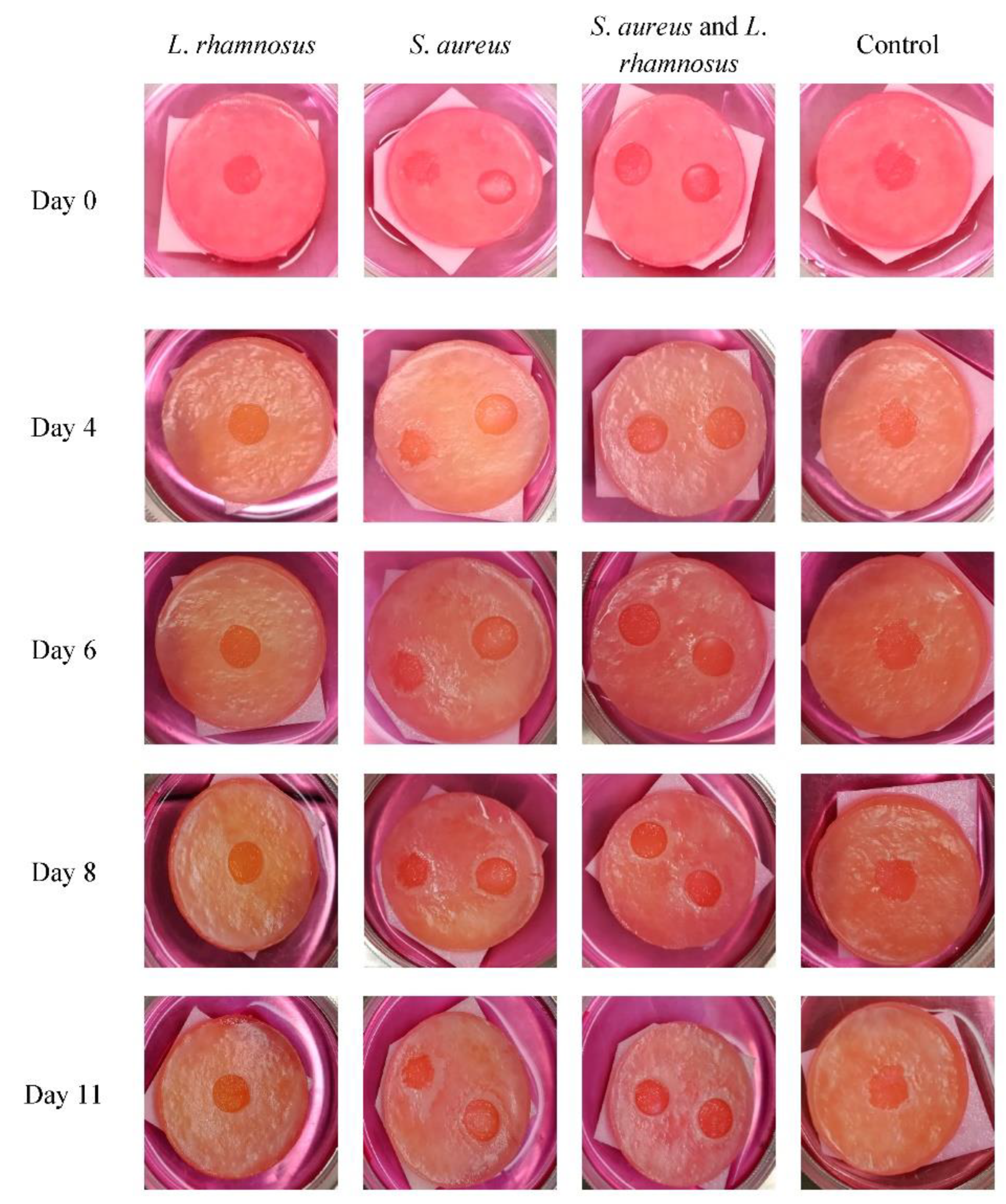 Biology 11 01372 g011 Biology 11 01372 g011