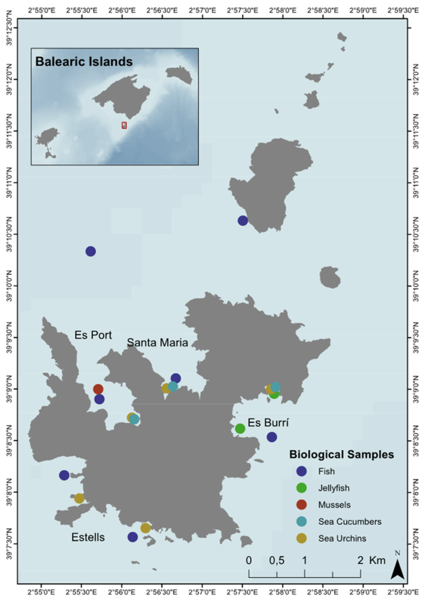 Biology 11 01375 g001