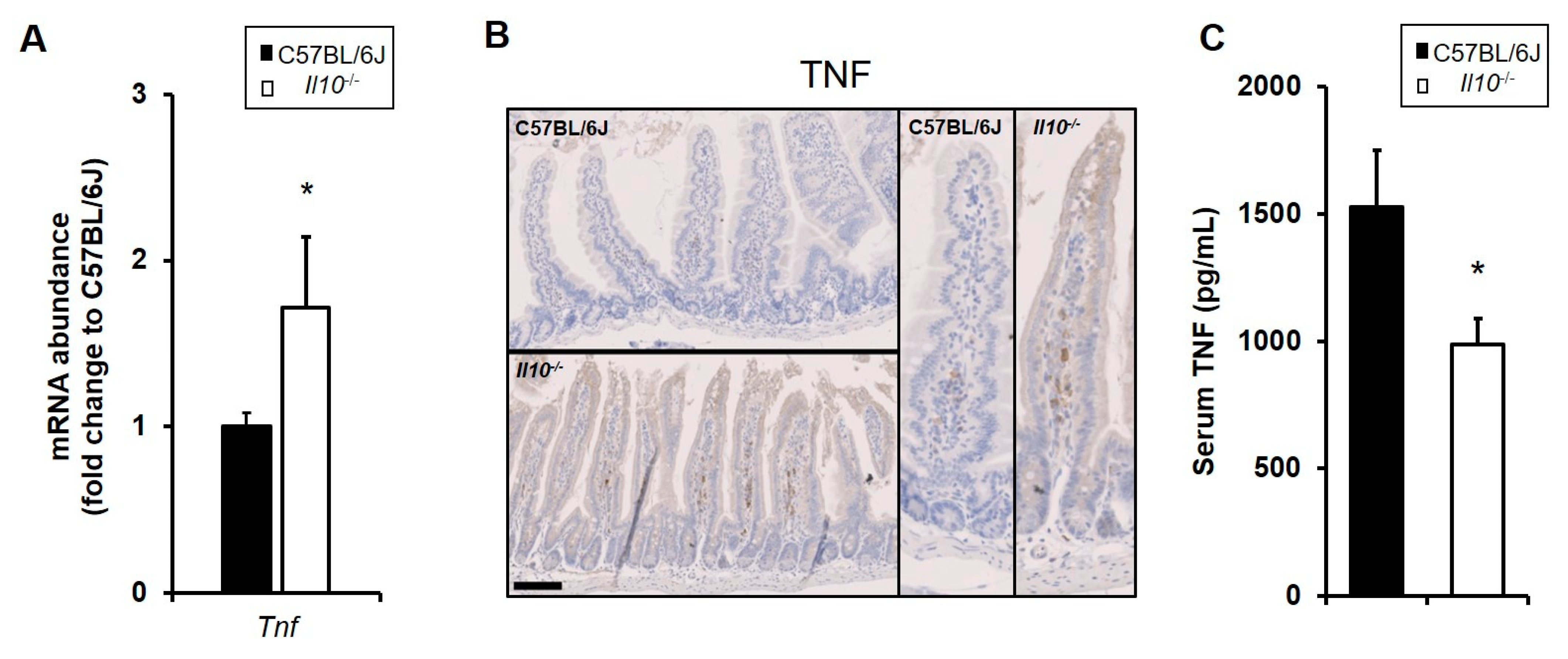 Biology 11 01377 g002