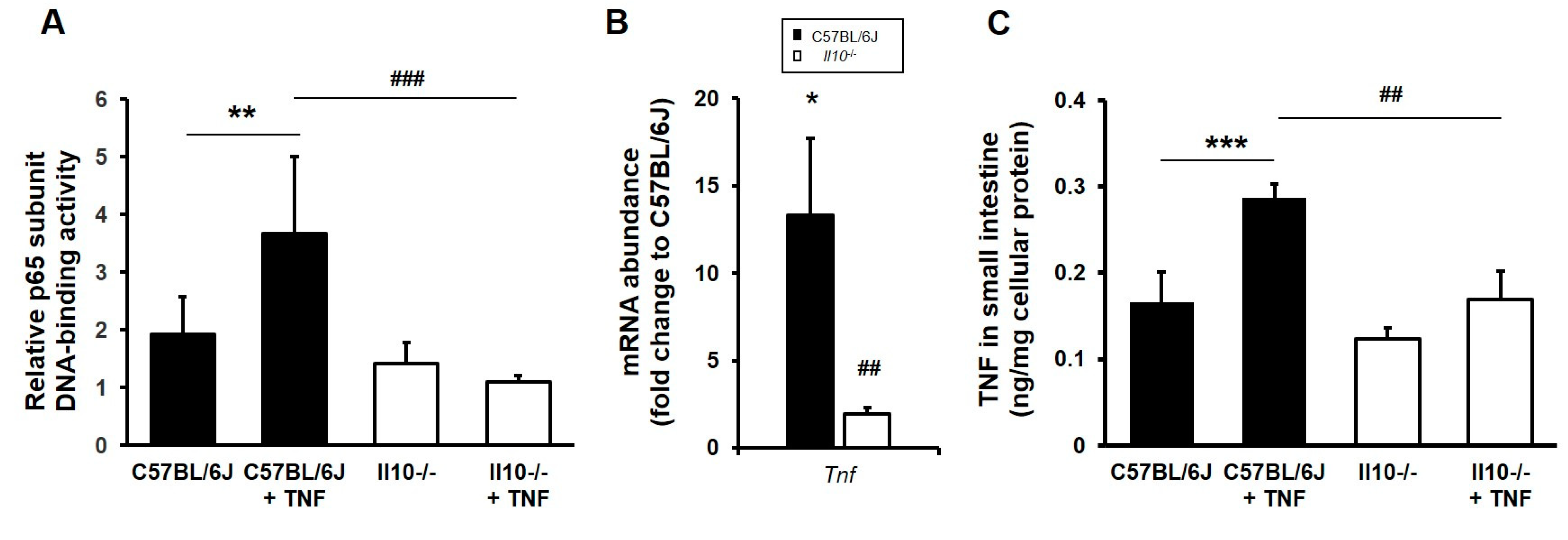 Biology 11 01377 g003