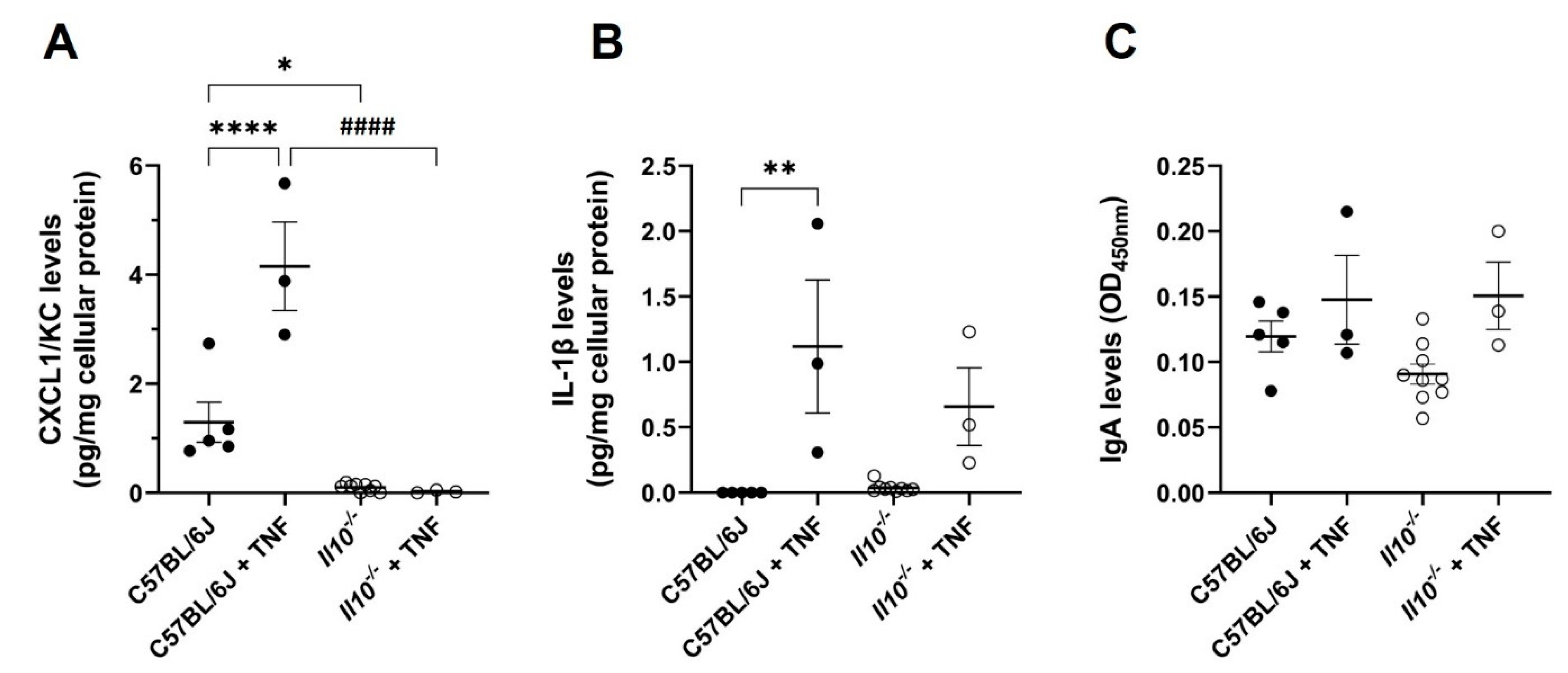 Biology 11 01377 g004