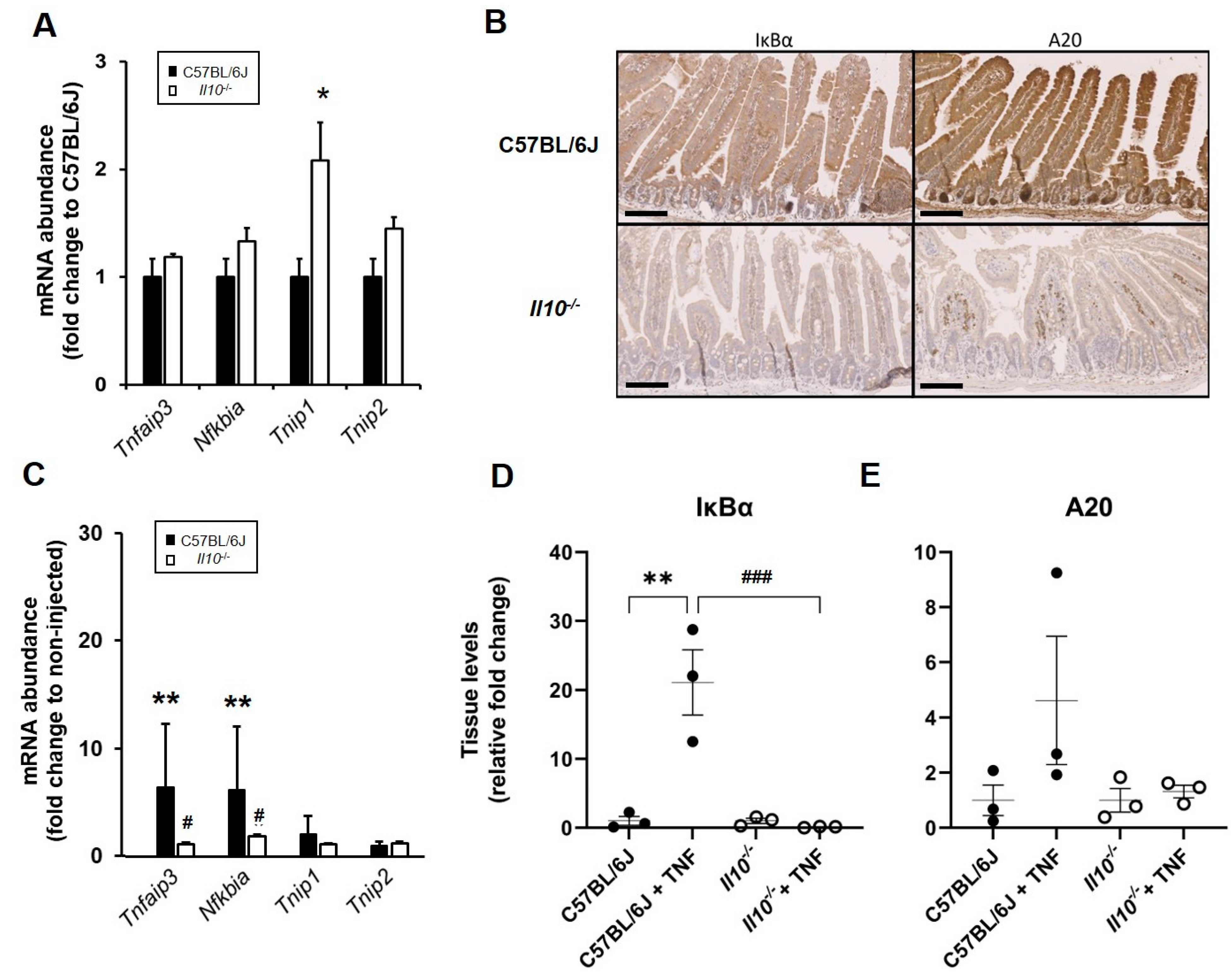 Biology 11 01377 g005