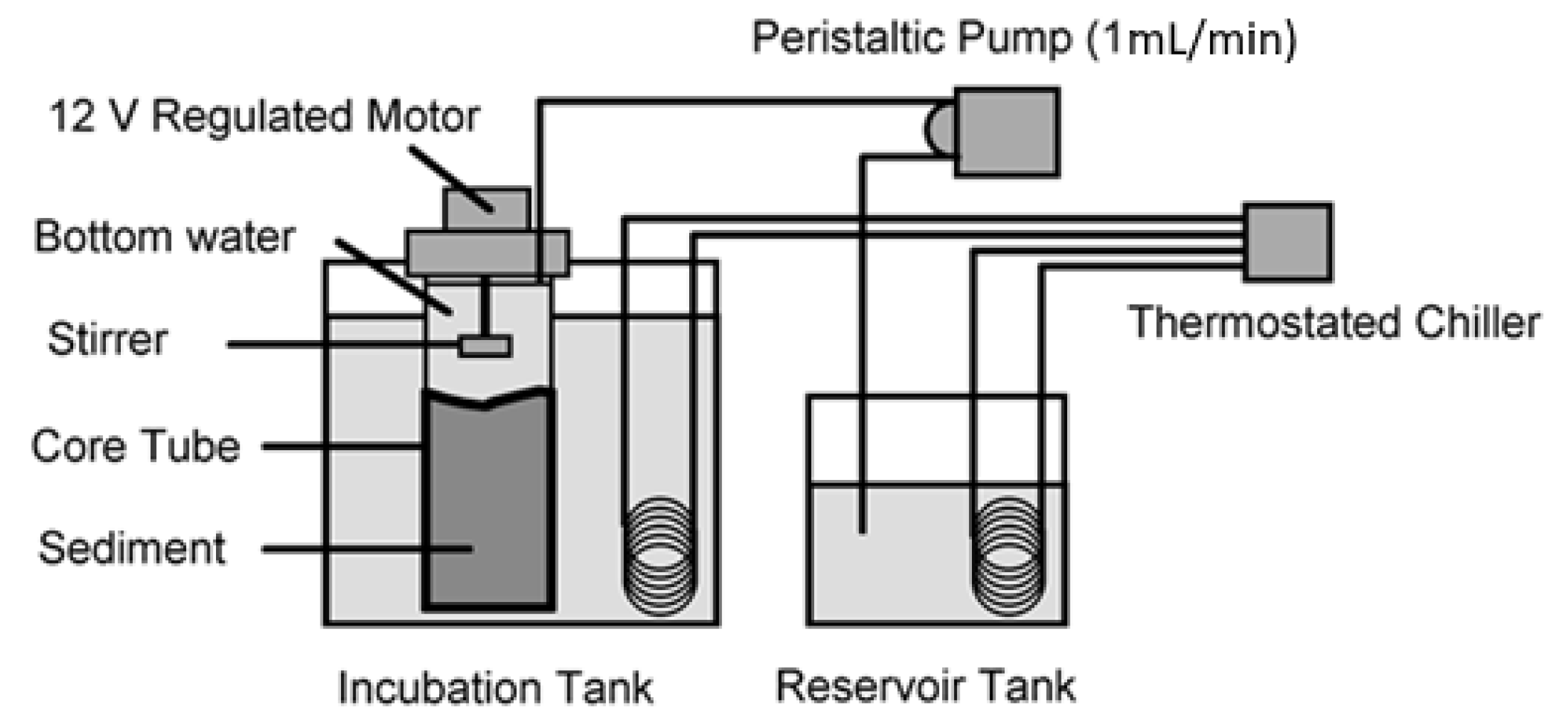 Biology 11 01378 g002