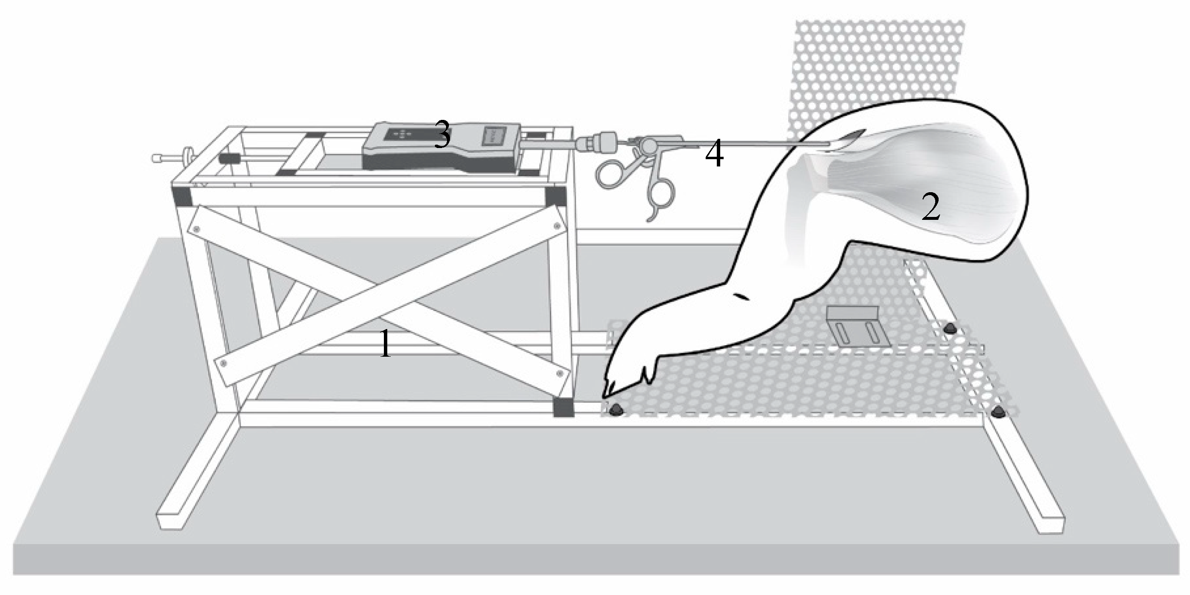 Biology 11 01381 g001