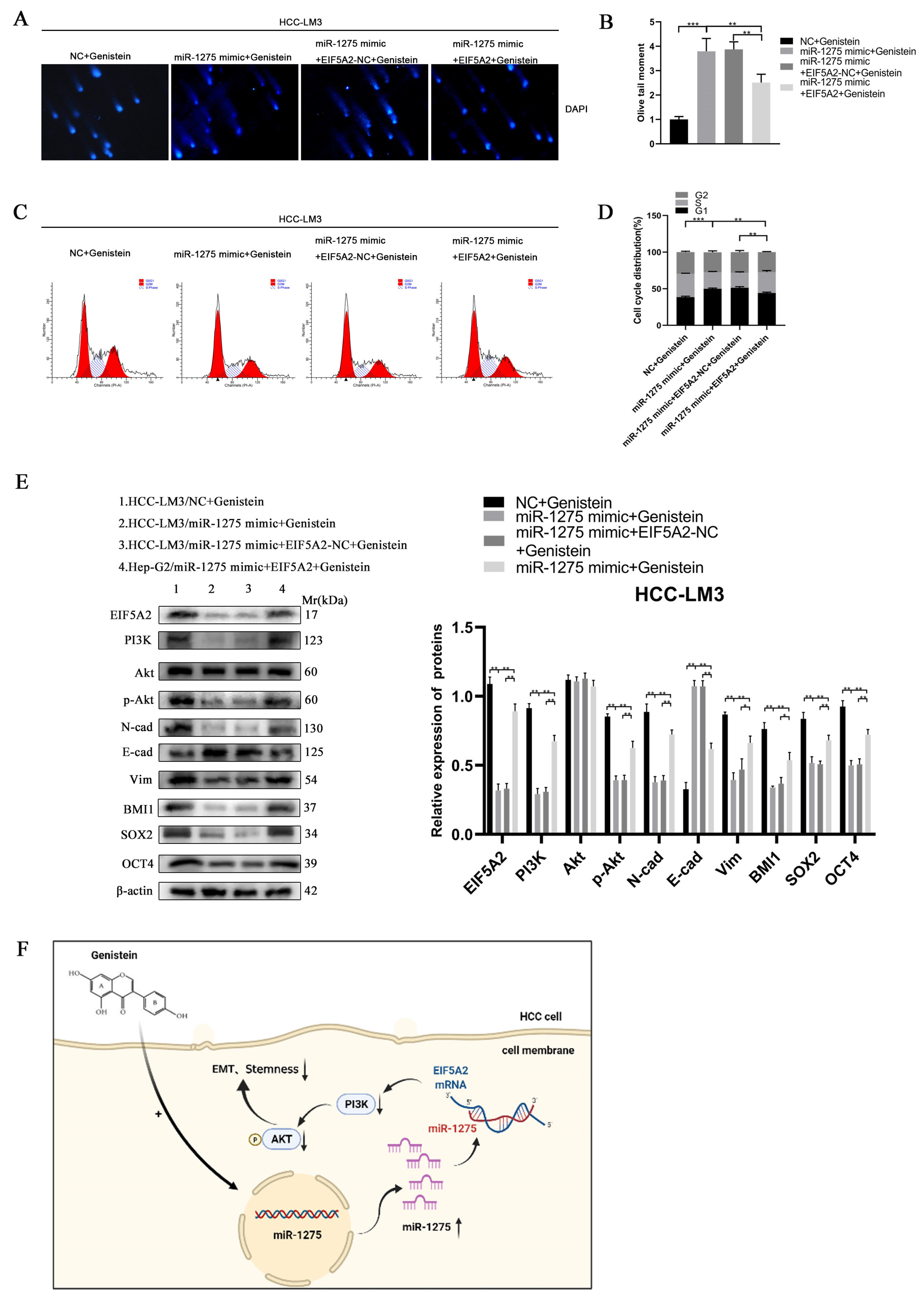 Biology 11 01383 g006 550