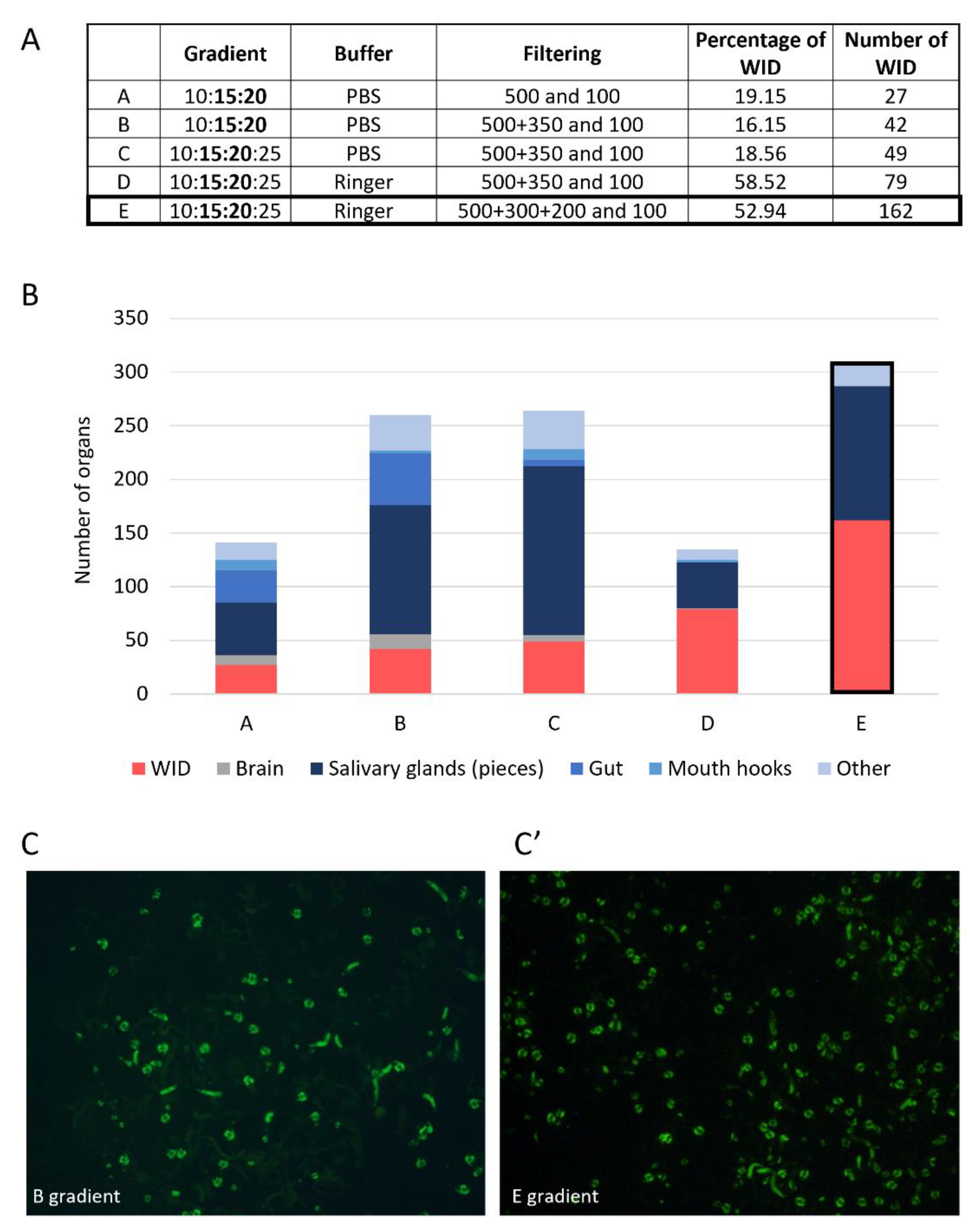 Biology 11 01384 g002 Biology 11 01384 g002