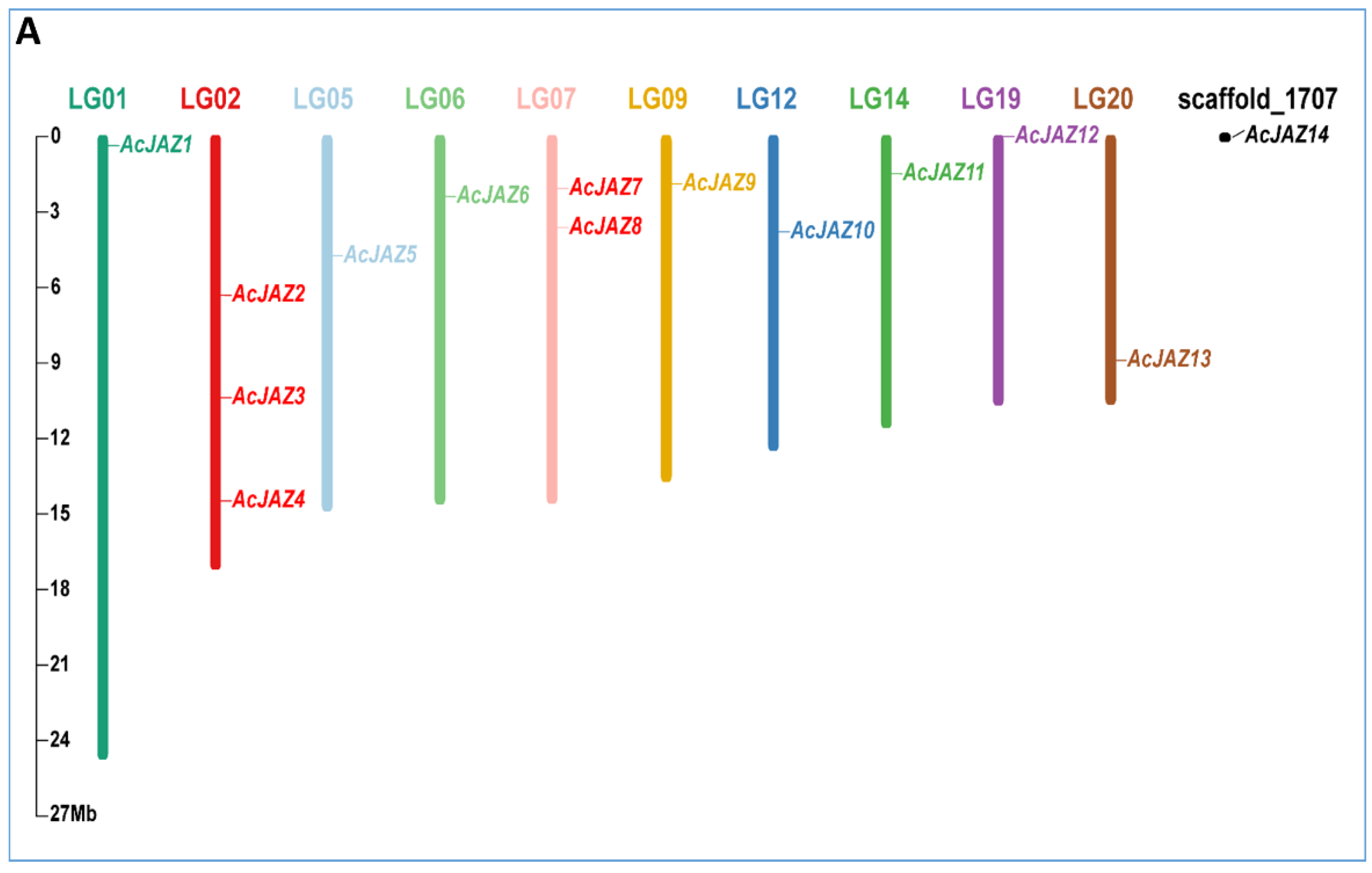 Biology 11 01385 g001a