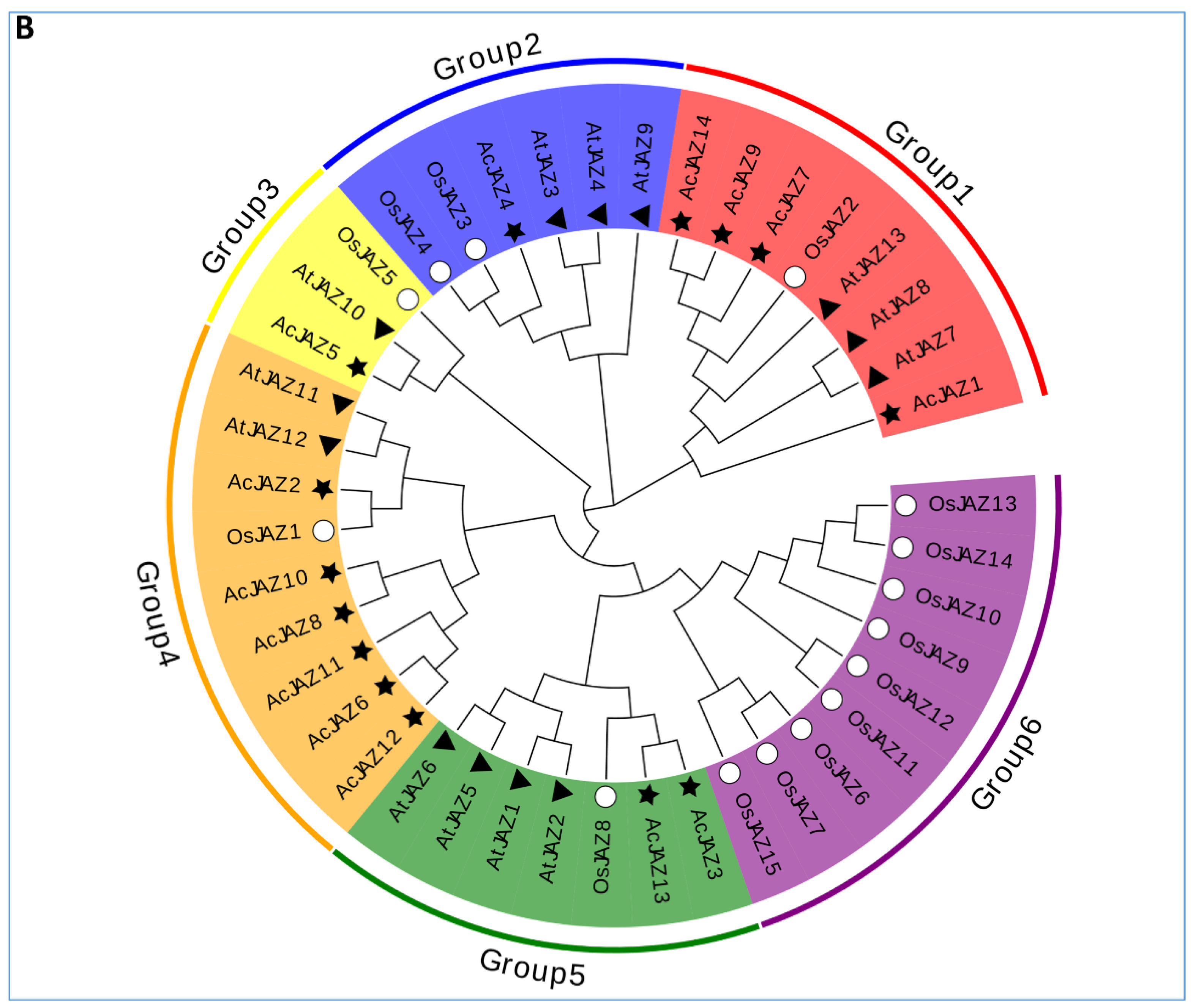 Biology 11 01385 g001b