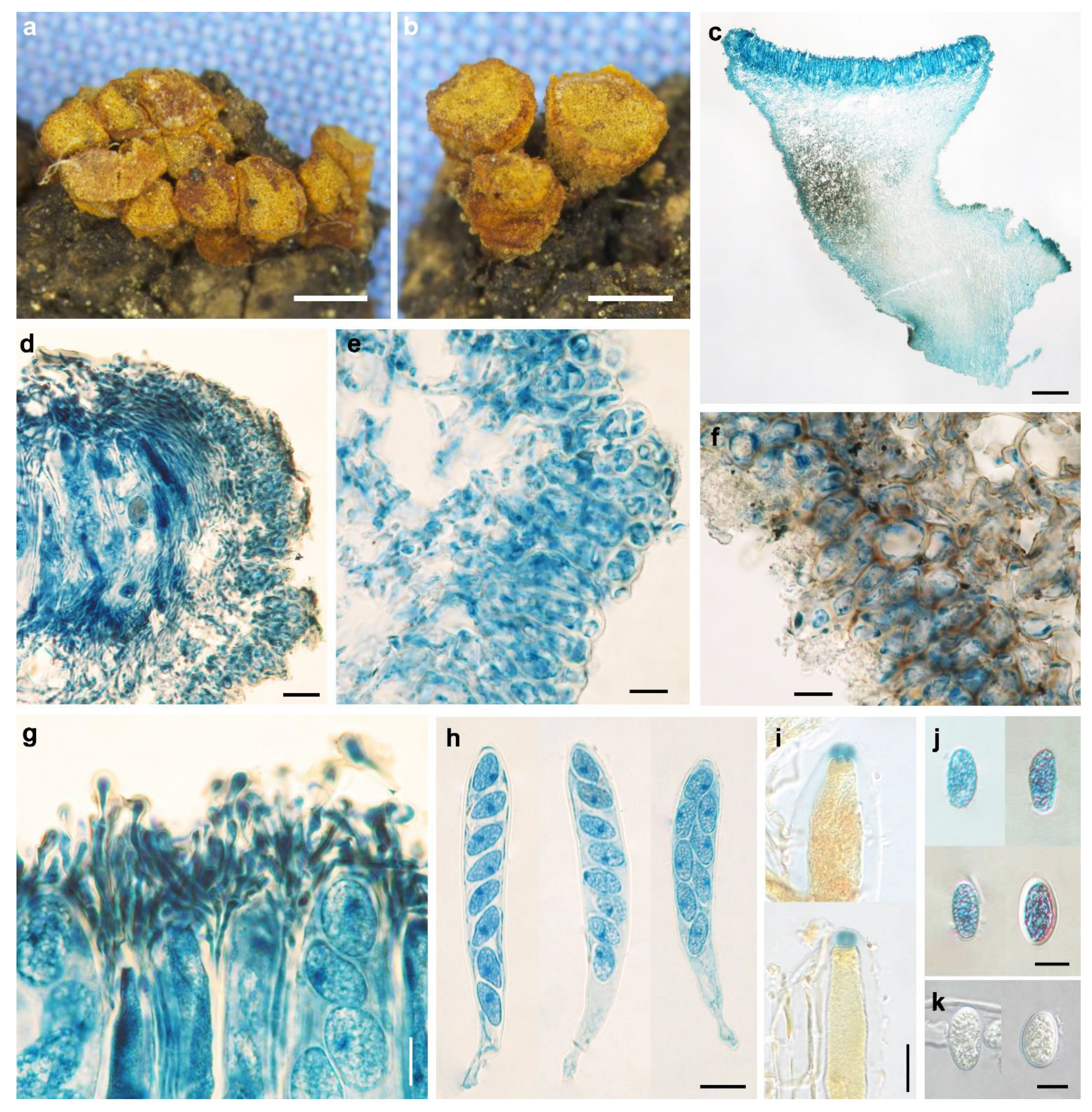 Biology 11 01386 g005 Biology 11 01386 g005
