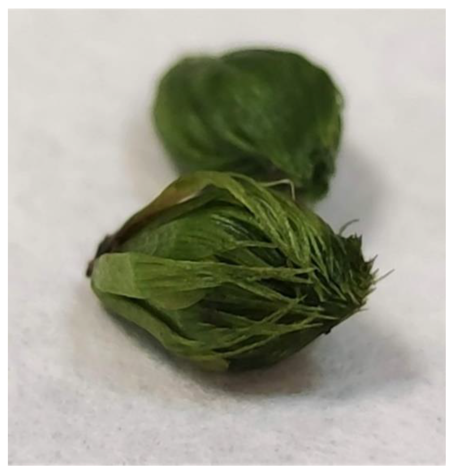 Biology 11 01389 g002