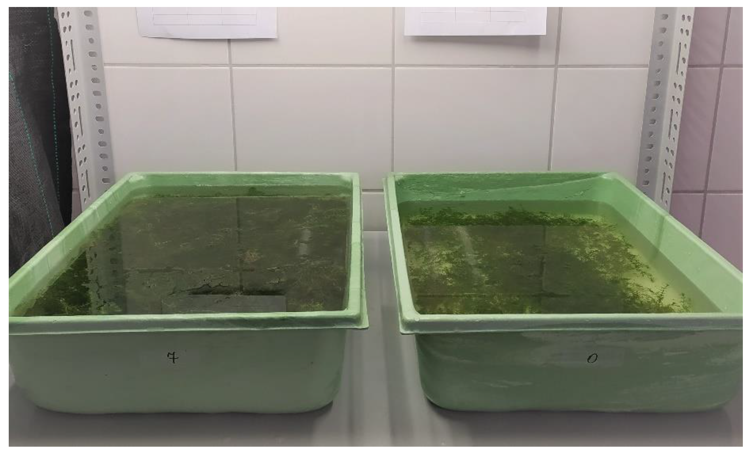 Biology 11 01389 g003