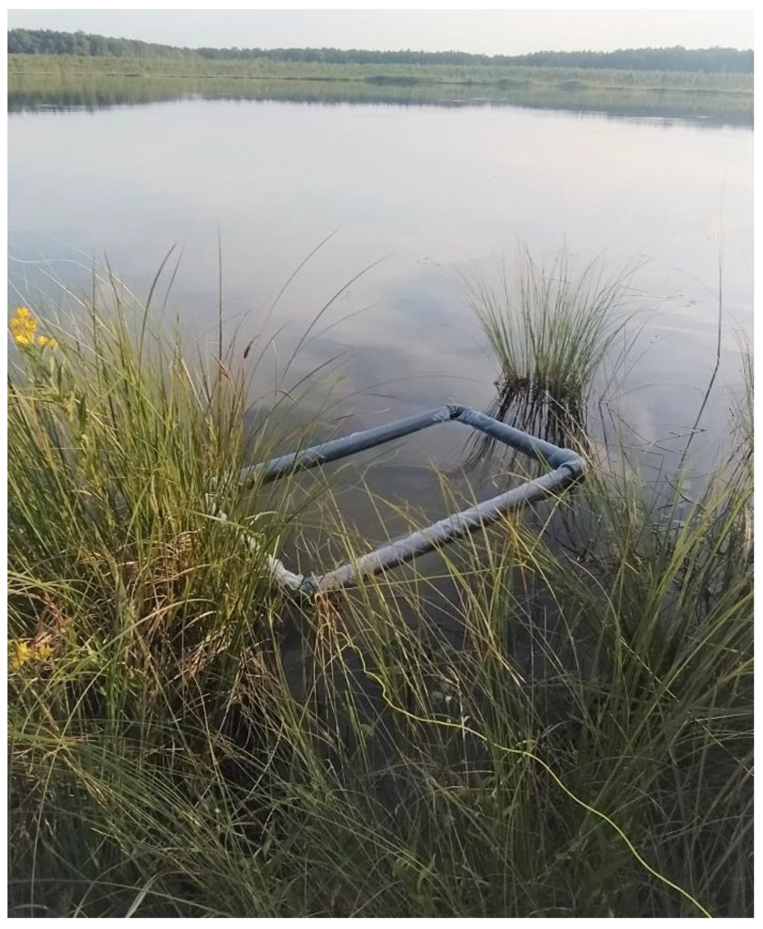 Biology 11 01389 g005