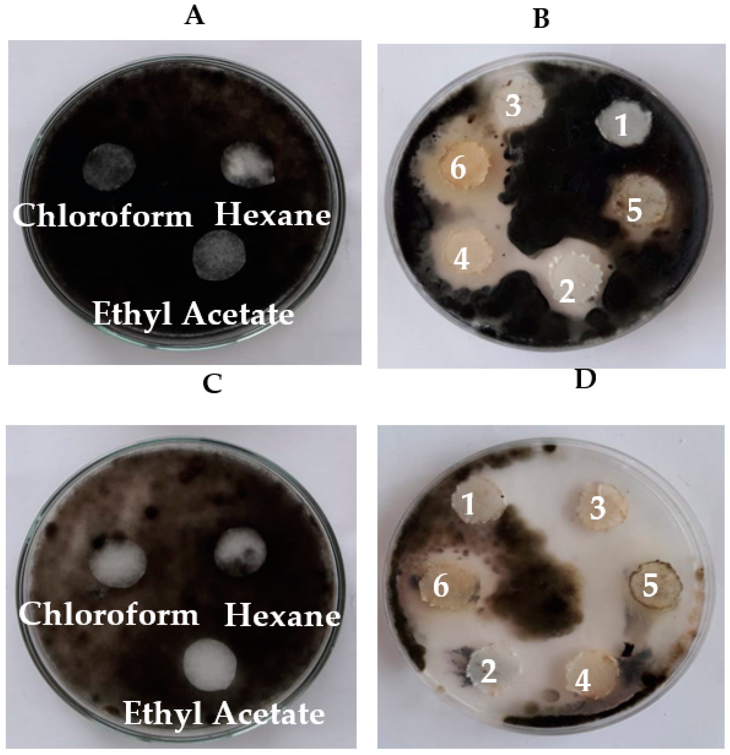 Biology 11 01390 g007