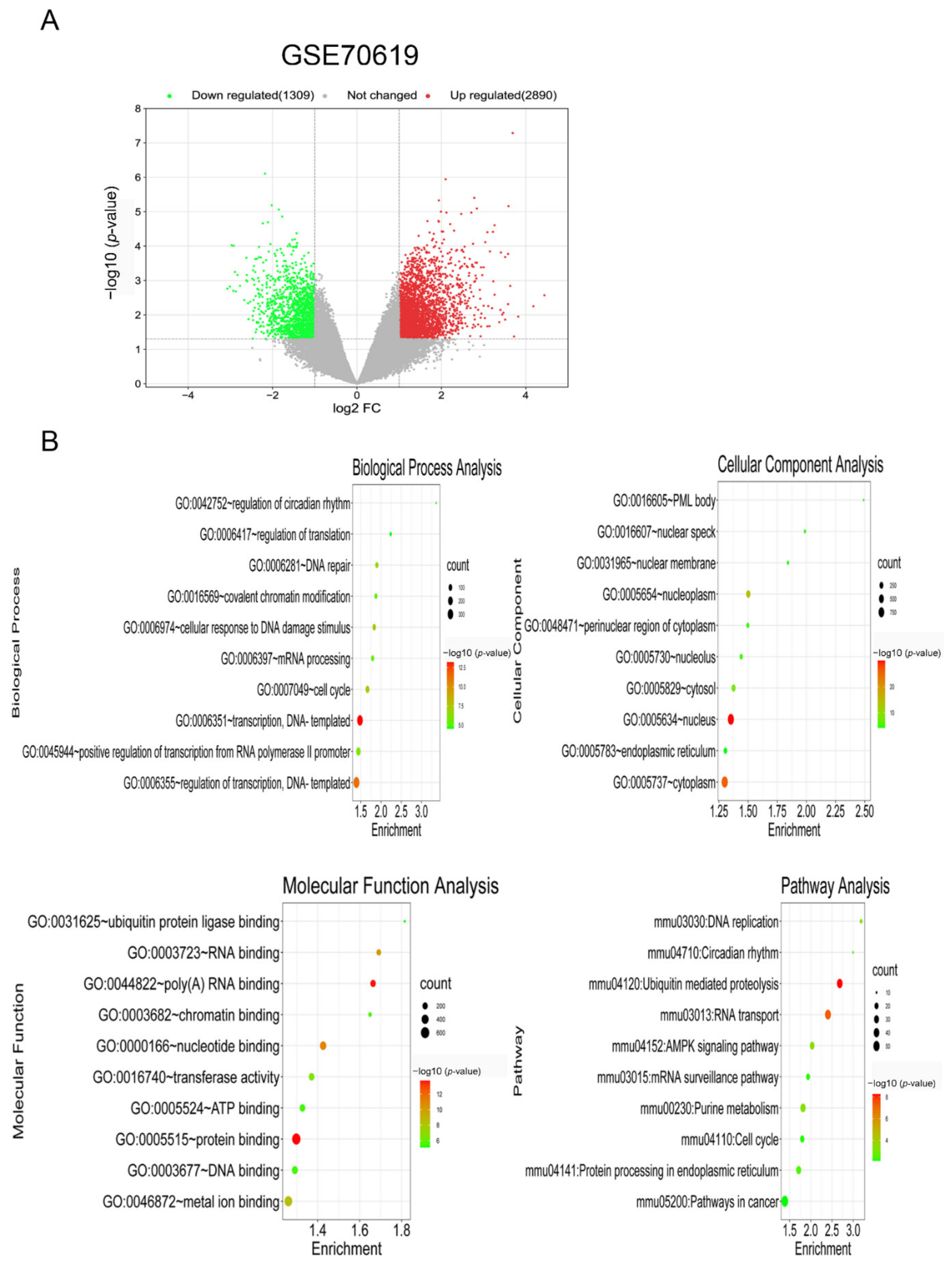 Biology 11 01392 g002 Biology 11 01392 g002