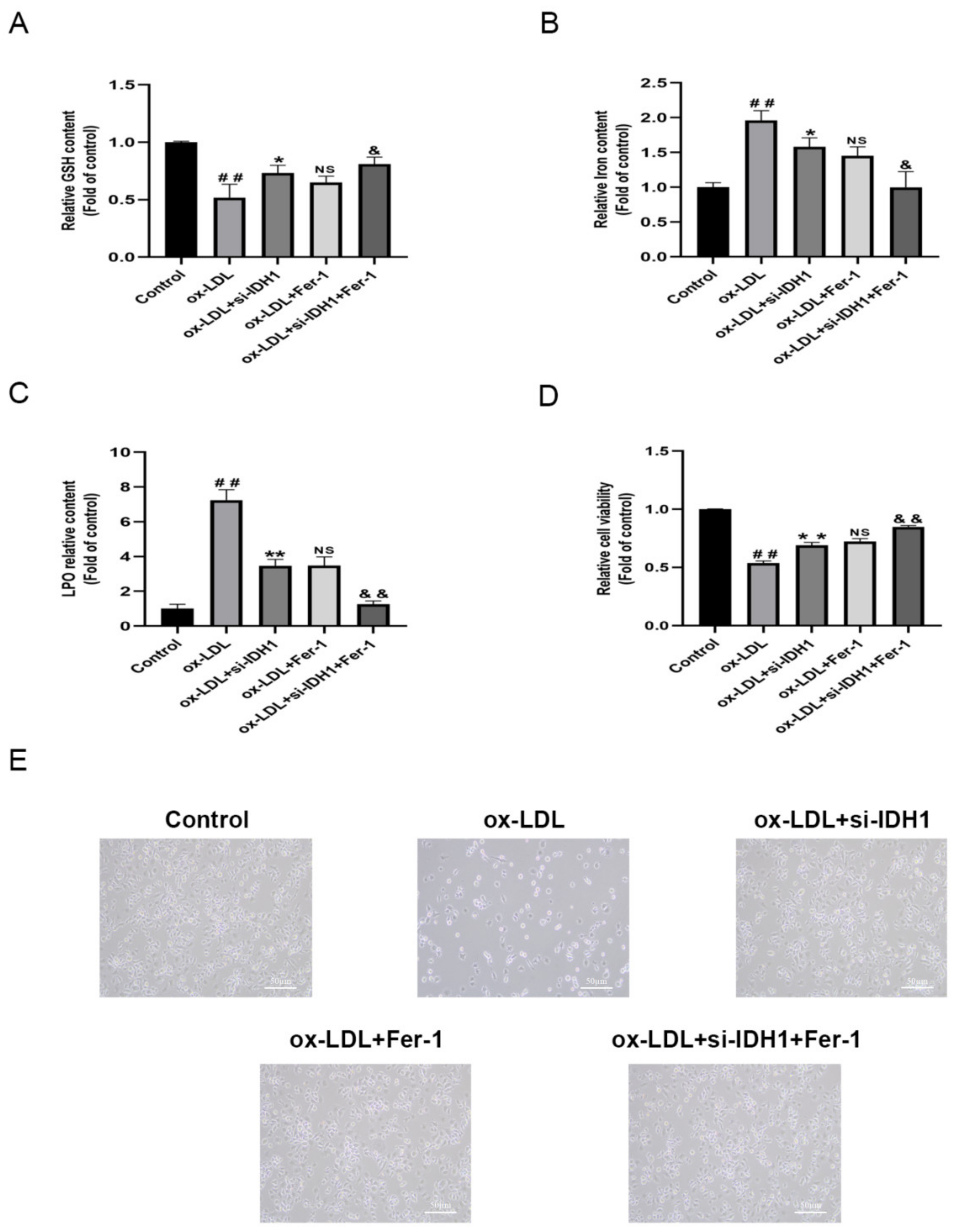 Biology 11 01392 g005 Biology 11 01392 g005