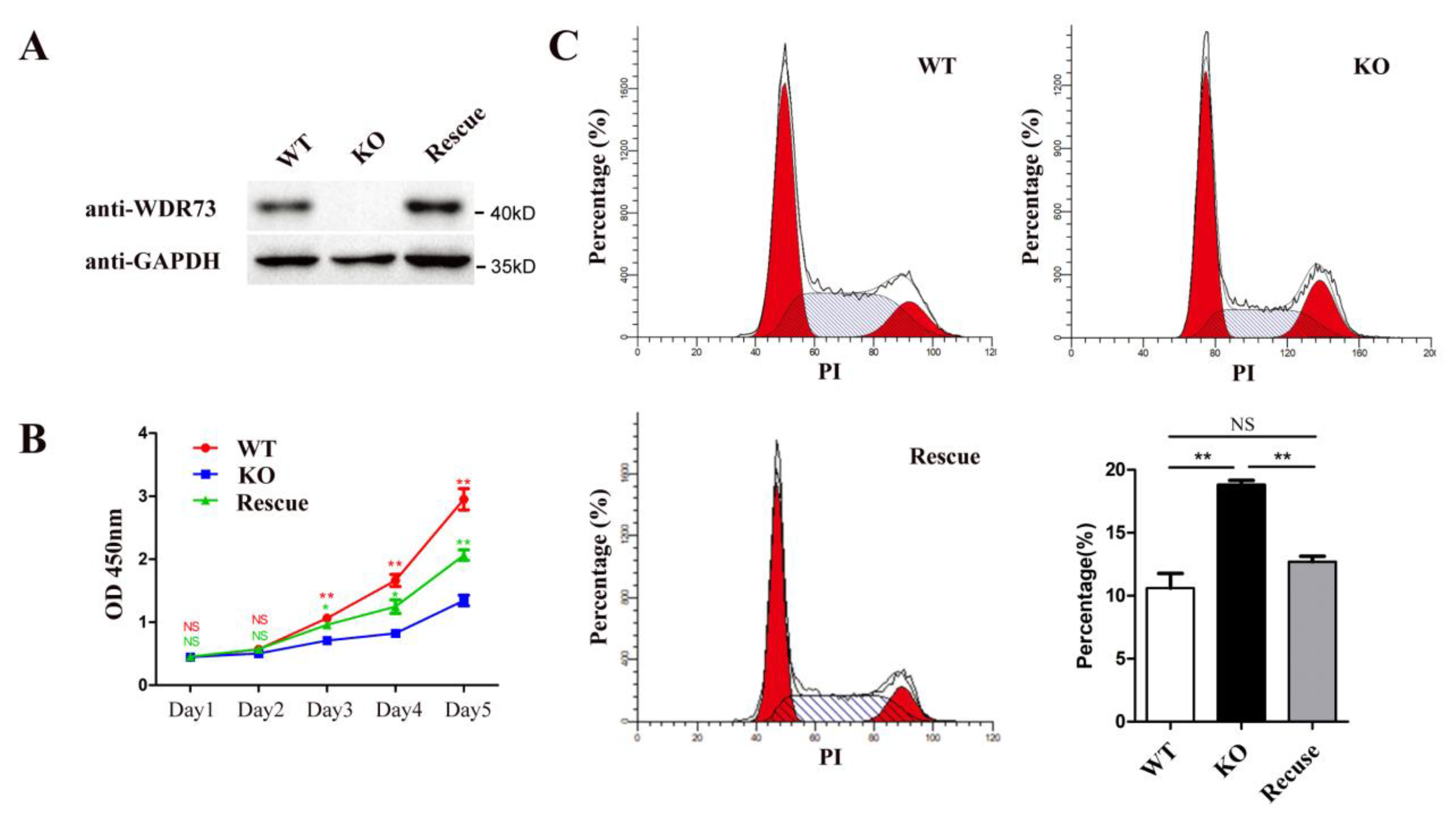 Biology 11 01397 g001