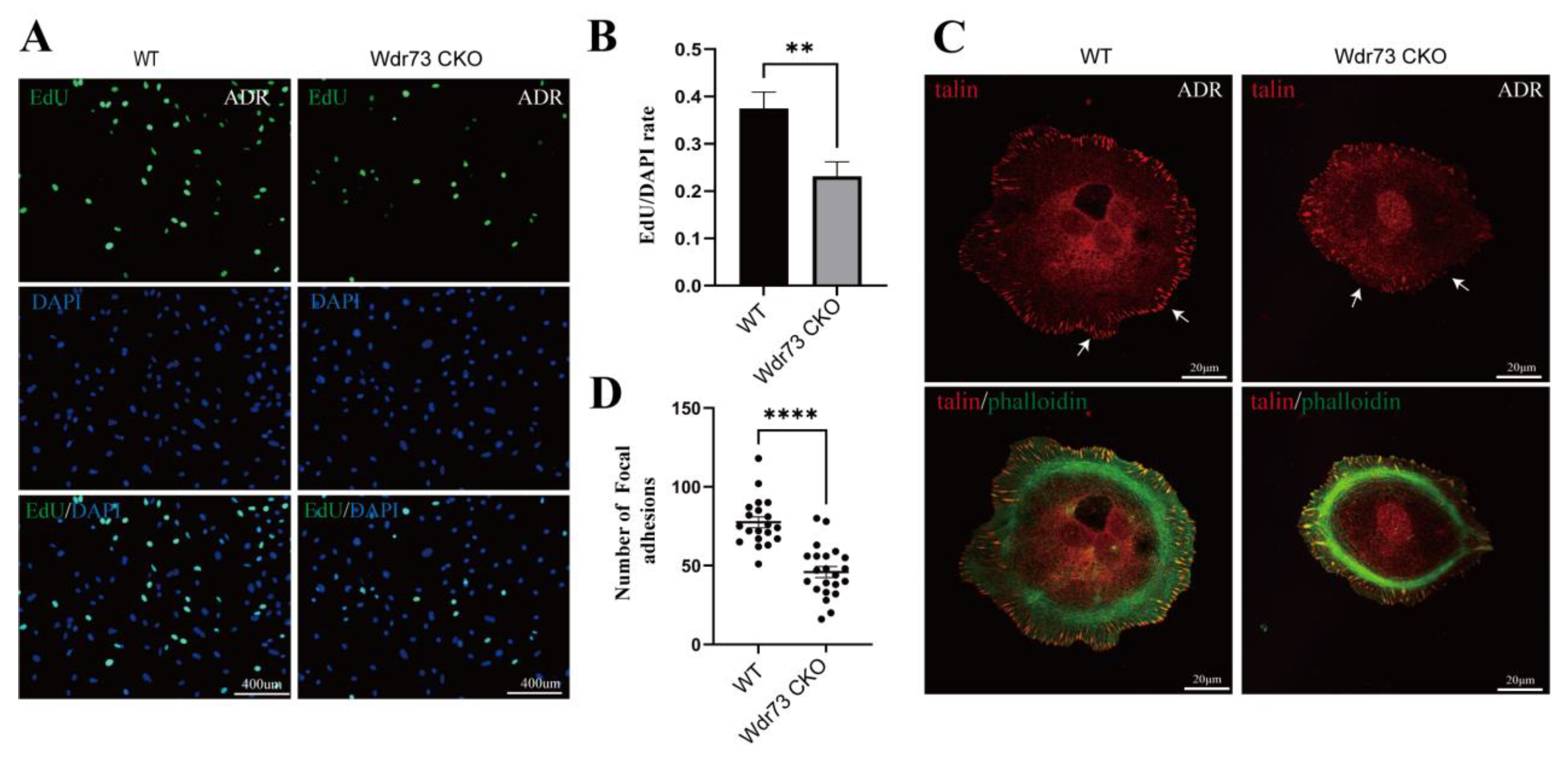 Biology 11 01397 g007