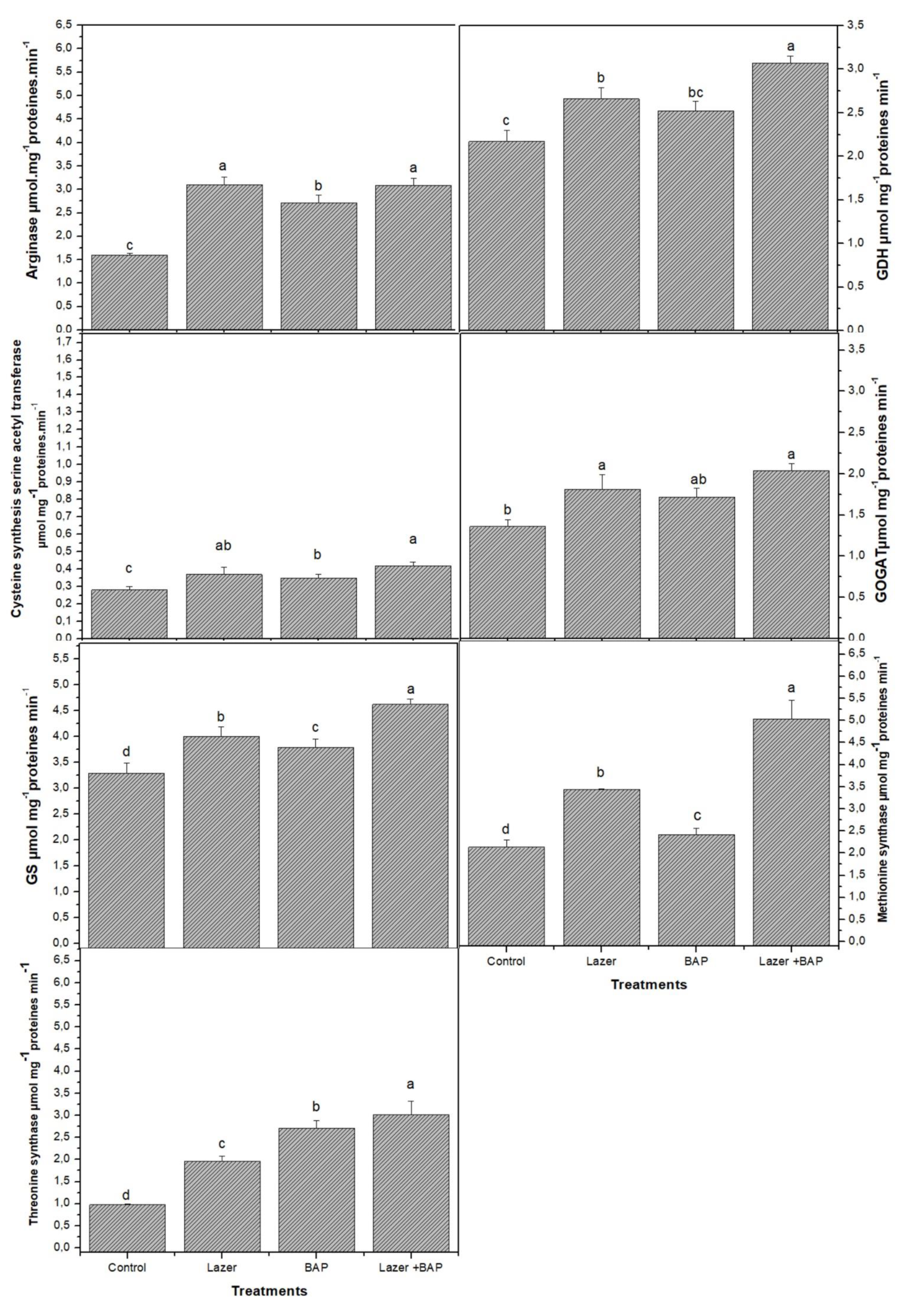 Biology 11 01398 g001