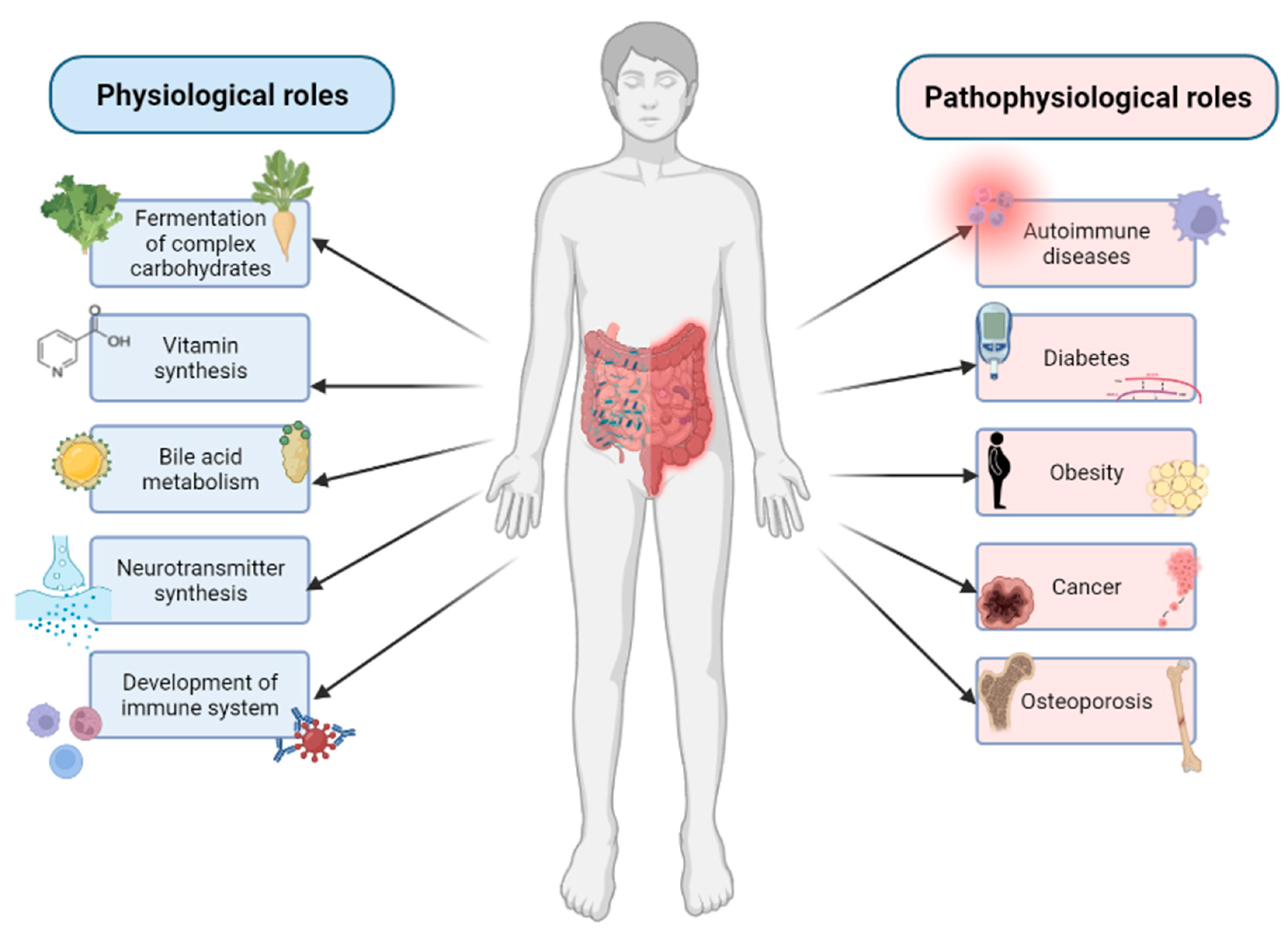 Biology 11 01402 g001