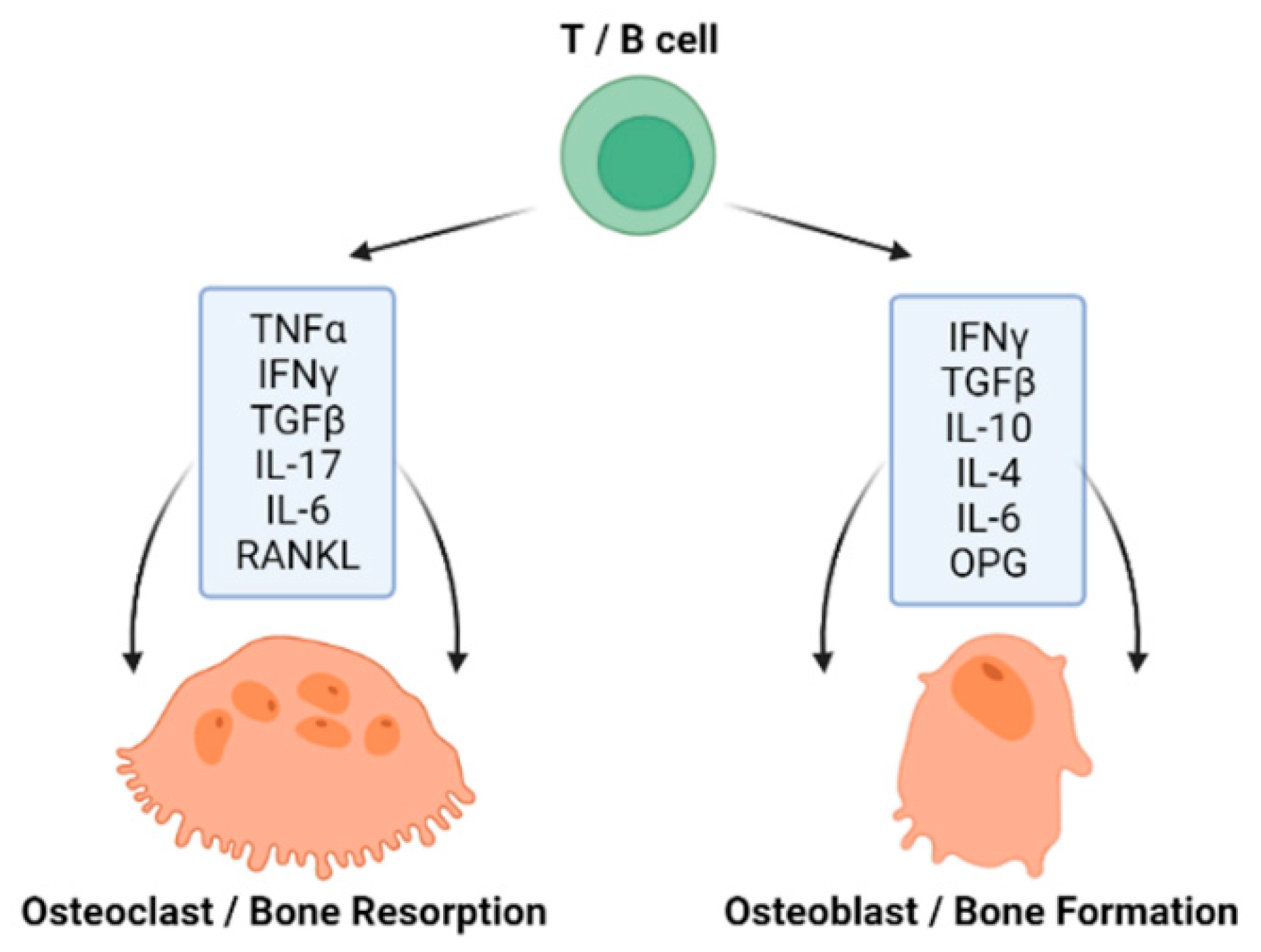 Biology 11 01402 g002