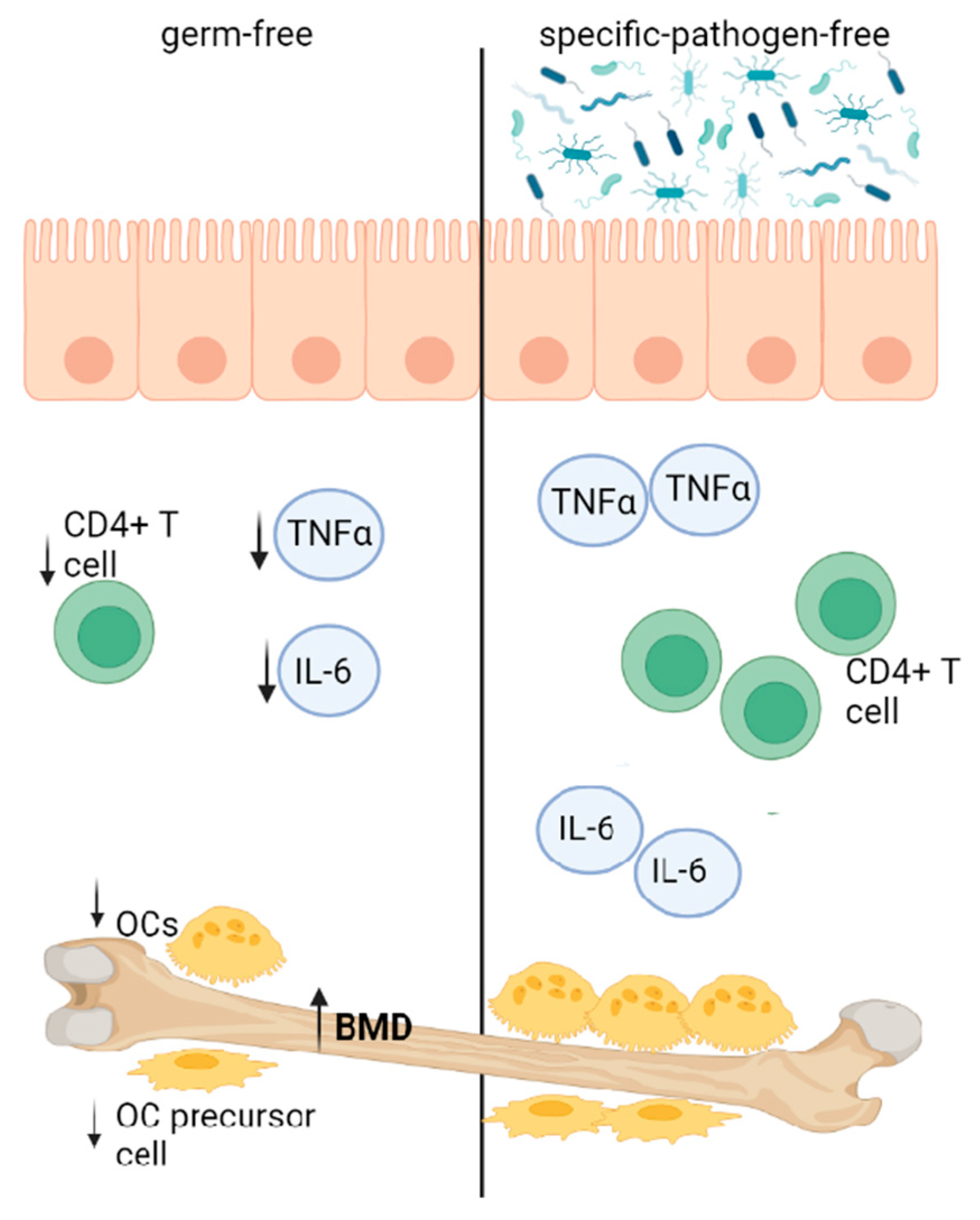 Biology 11 01402 g003
