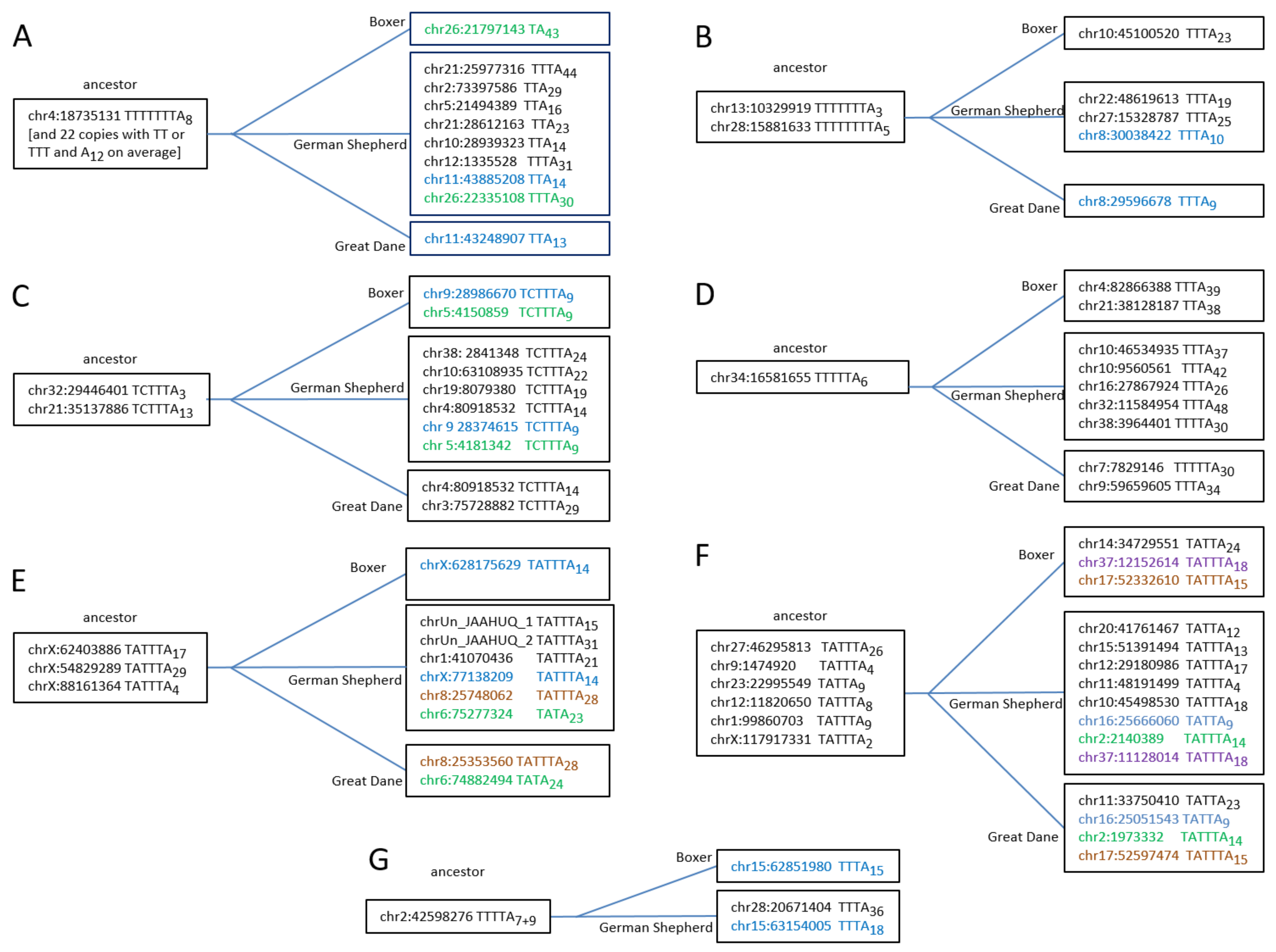 Biology 11 01403 g007