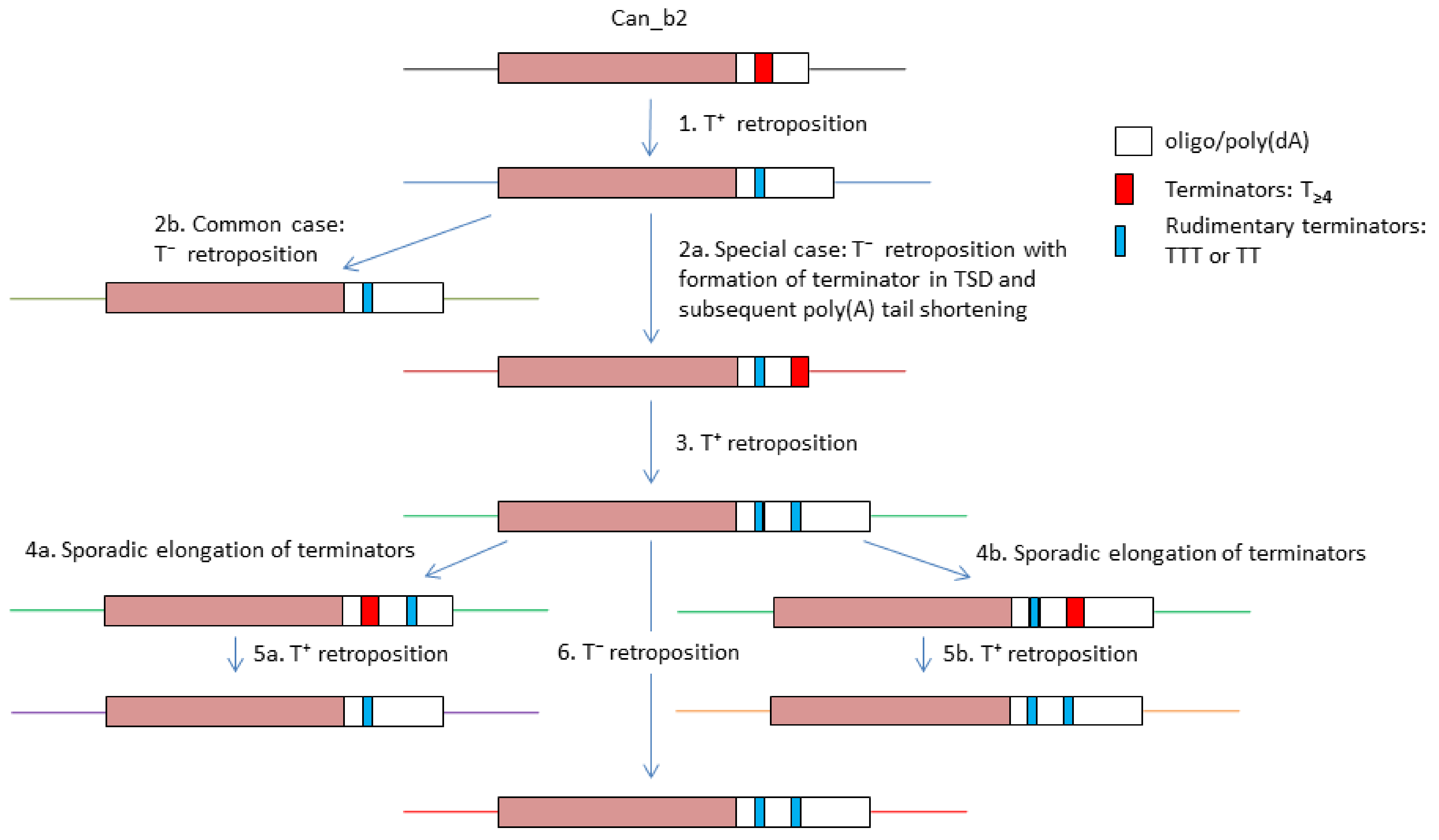 Biology 11 01403 g008
