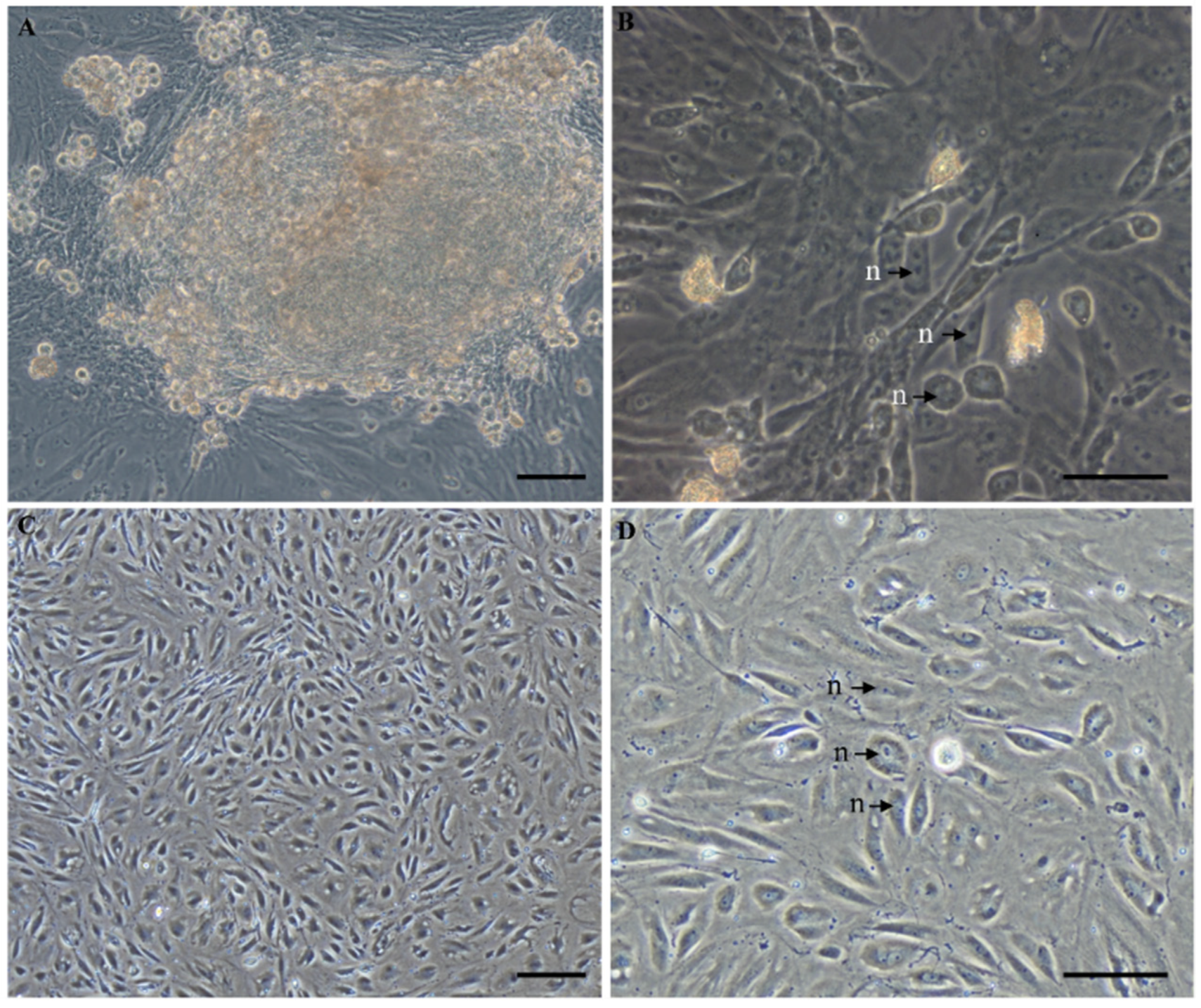 Biology 11 01404 g001 Biology 11 01404 g001