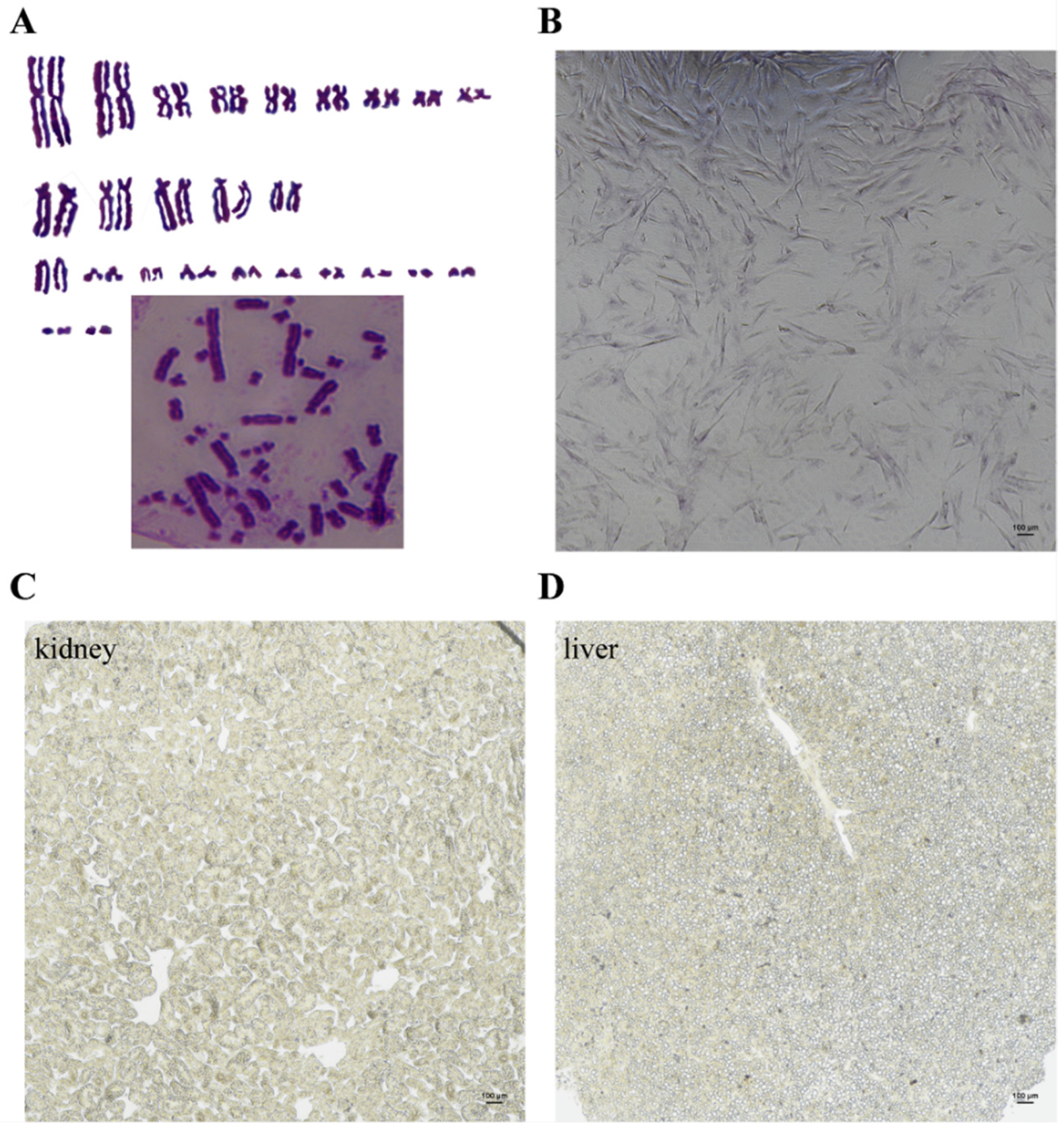 Biology 11 01404 g002 Biology 11 01404 g002