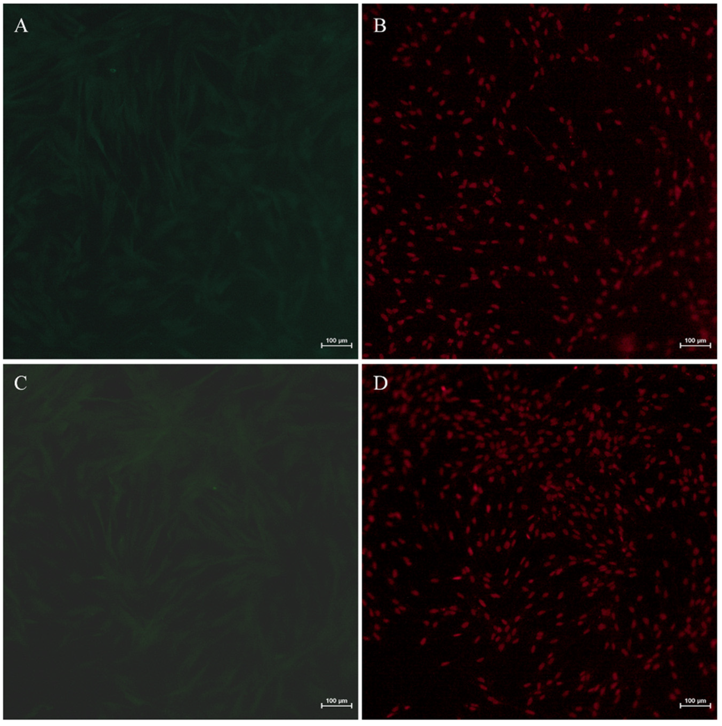 Biology 11 01404 g005 Biology 11 01404 g005