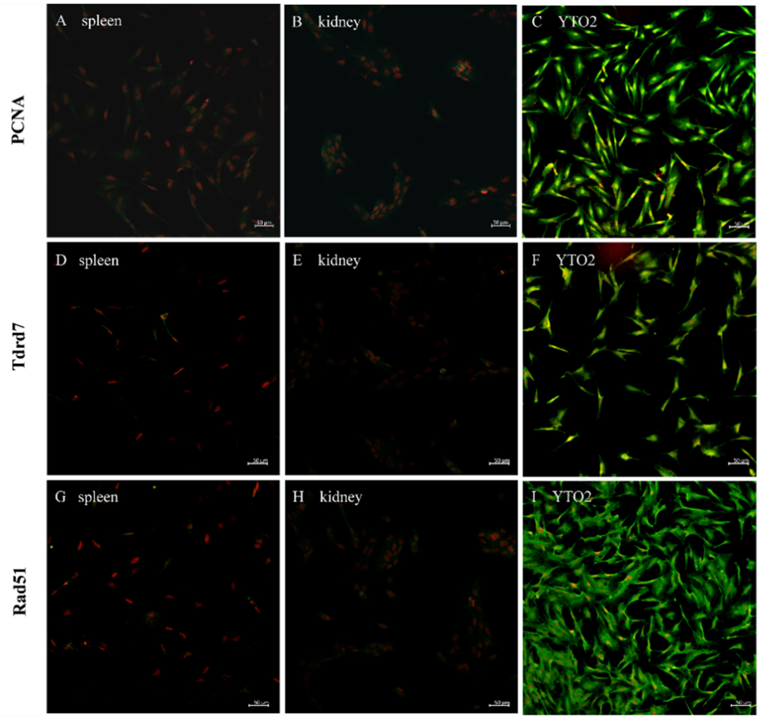 Biology 11 01404 g006 Biology 11 01404 g006