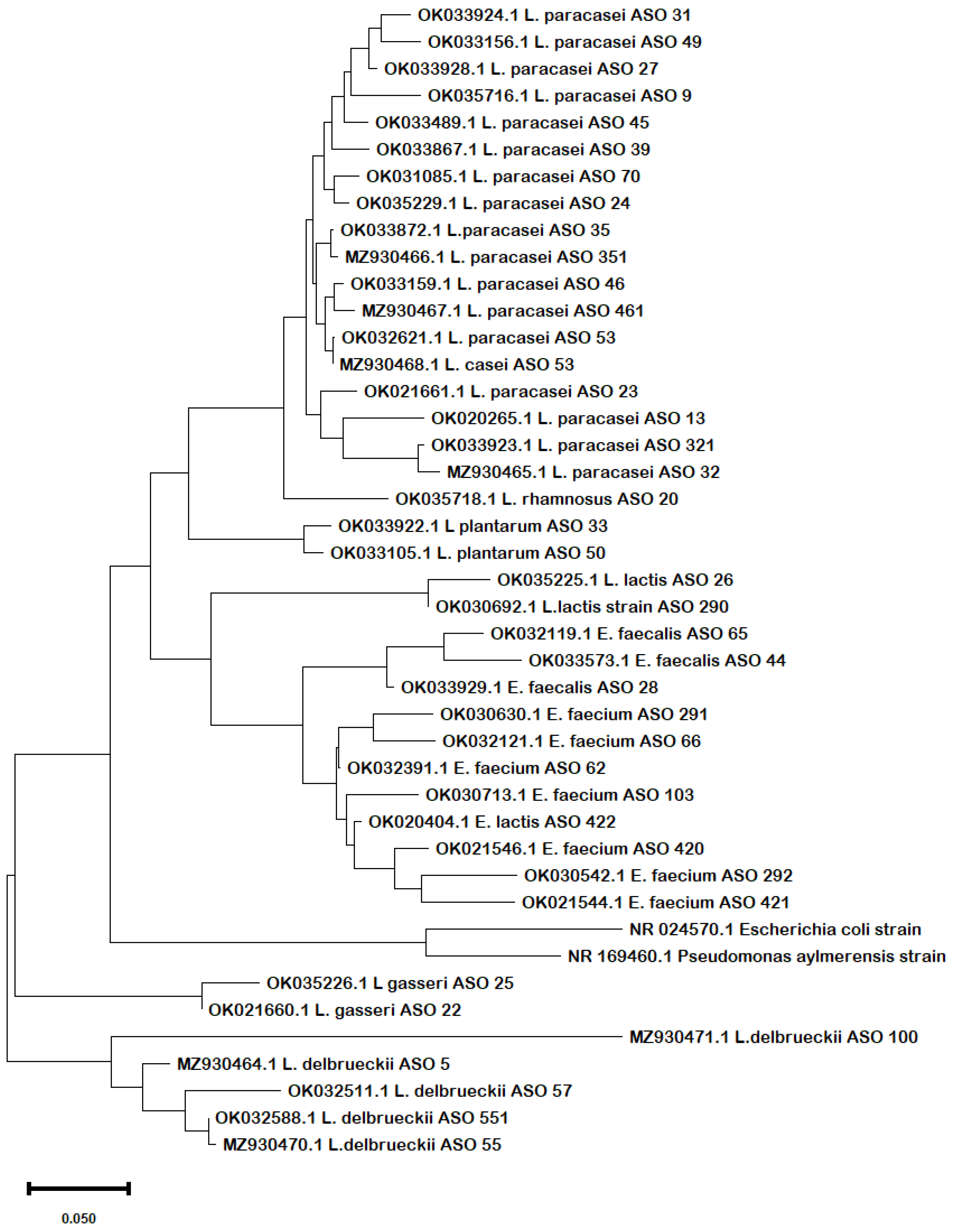 Biology 11 01405 g001