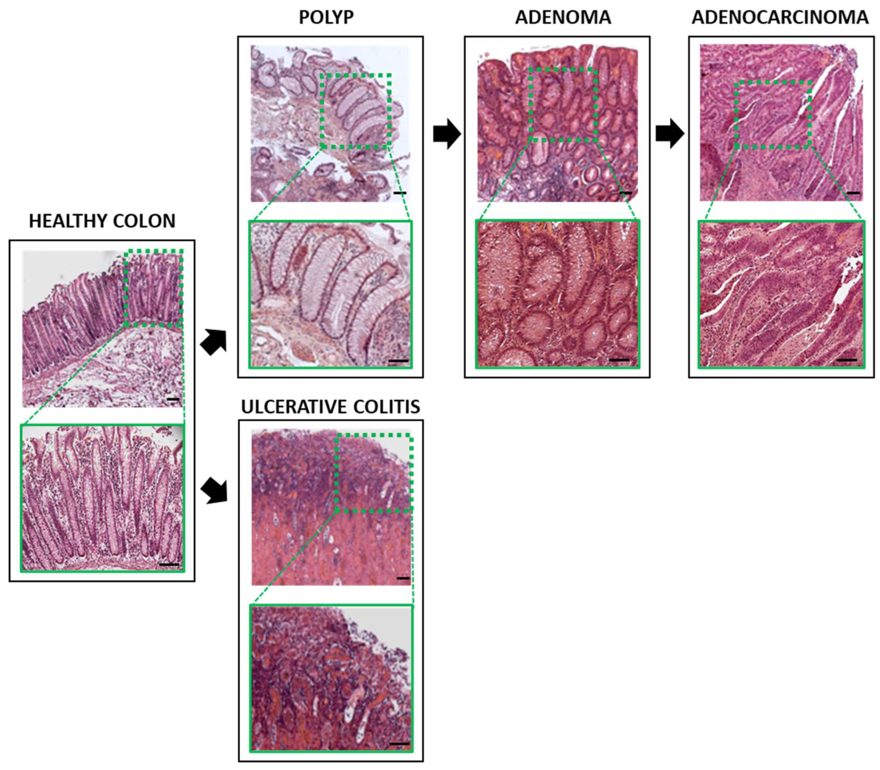 Biology 11 01406 g003