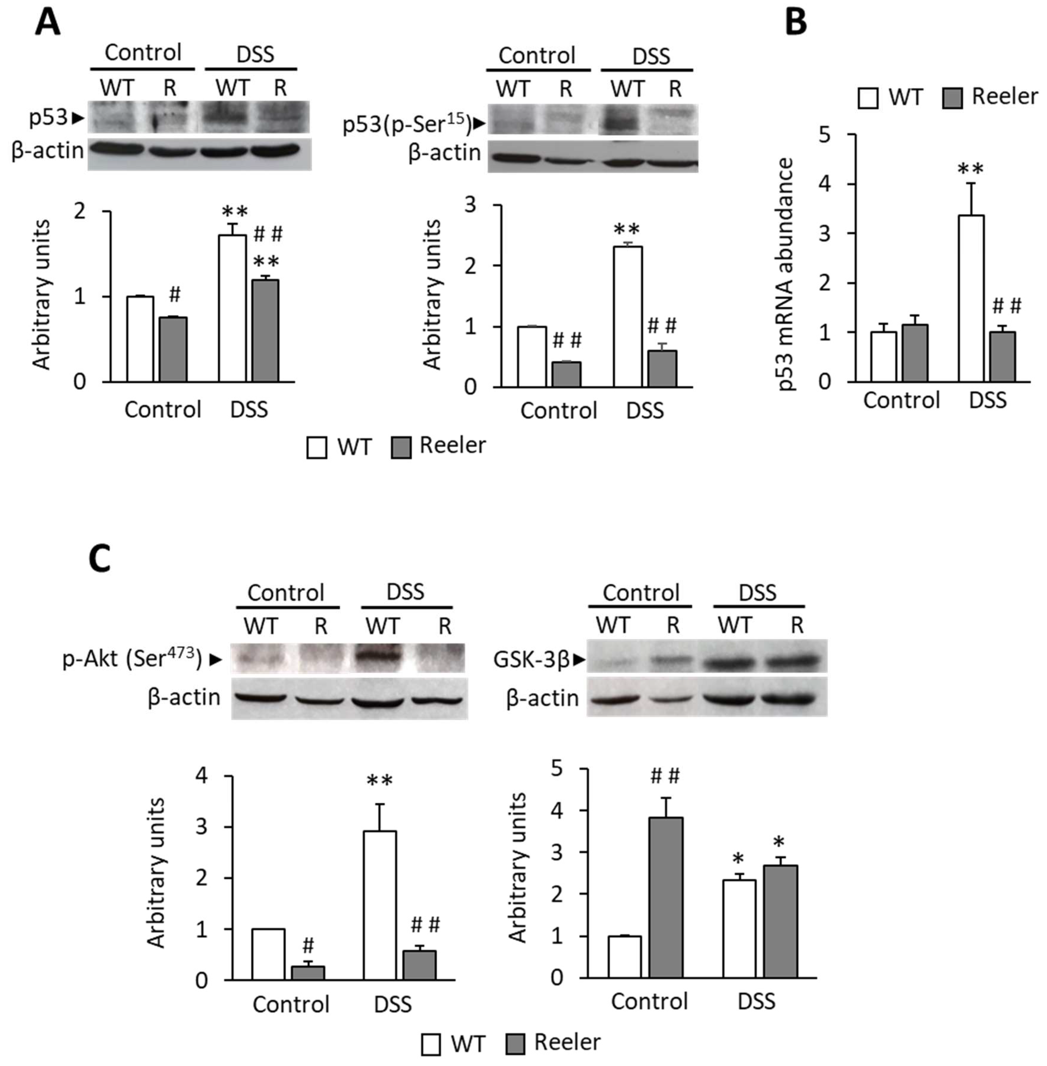 Biology 11 01406 g006