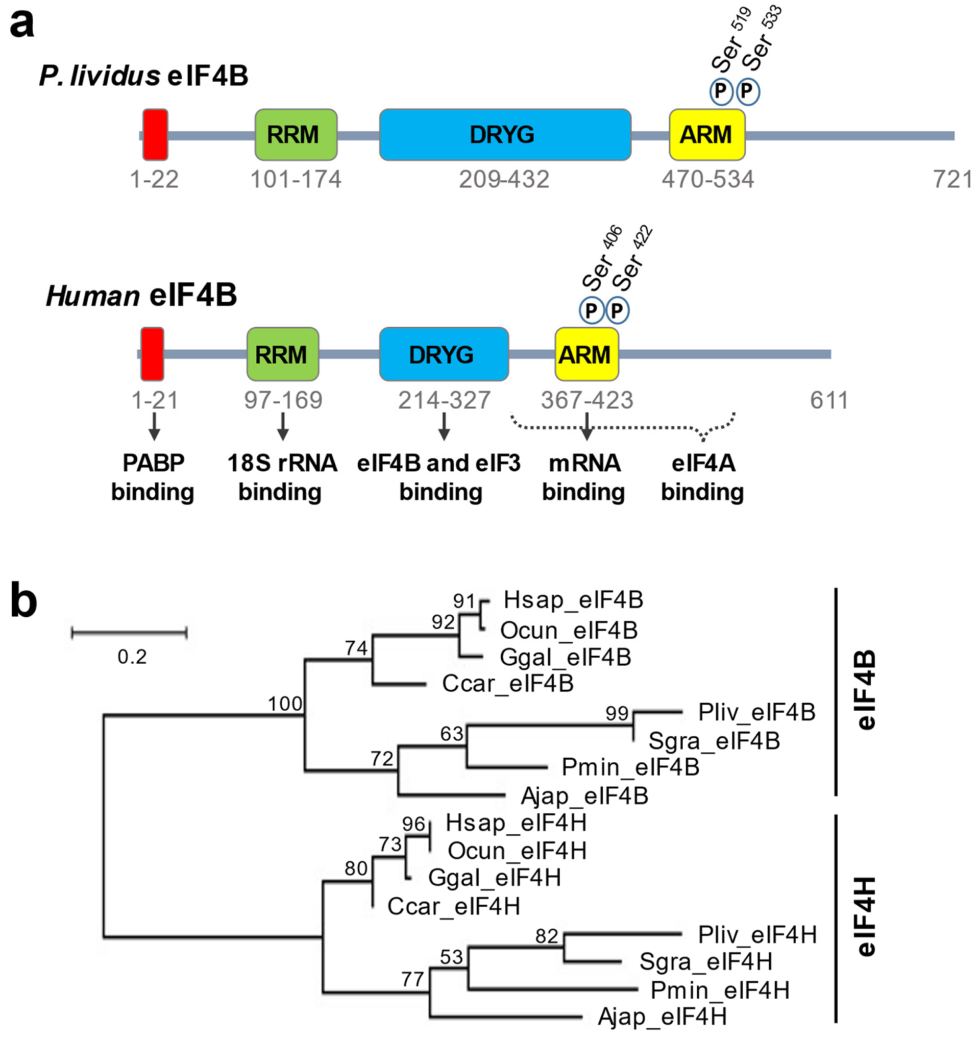 Biology 11 01408 g001