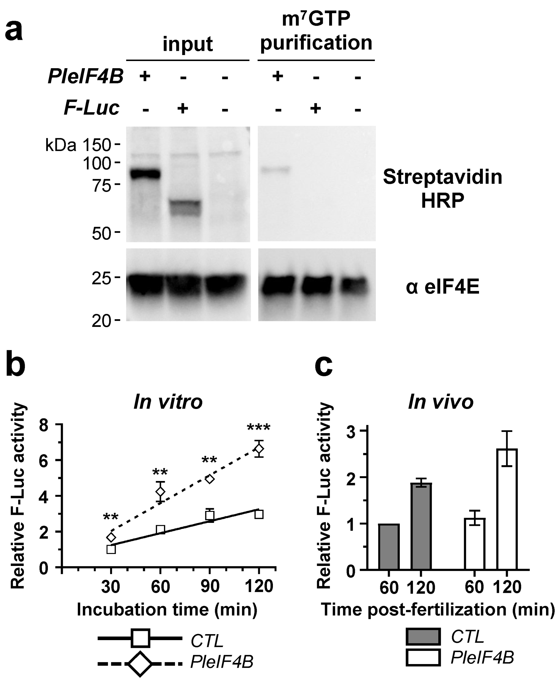 Biology 11 01408 g002
