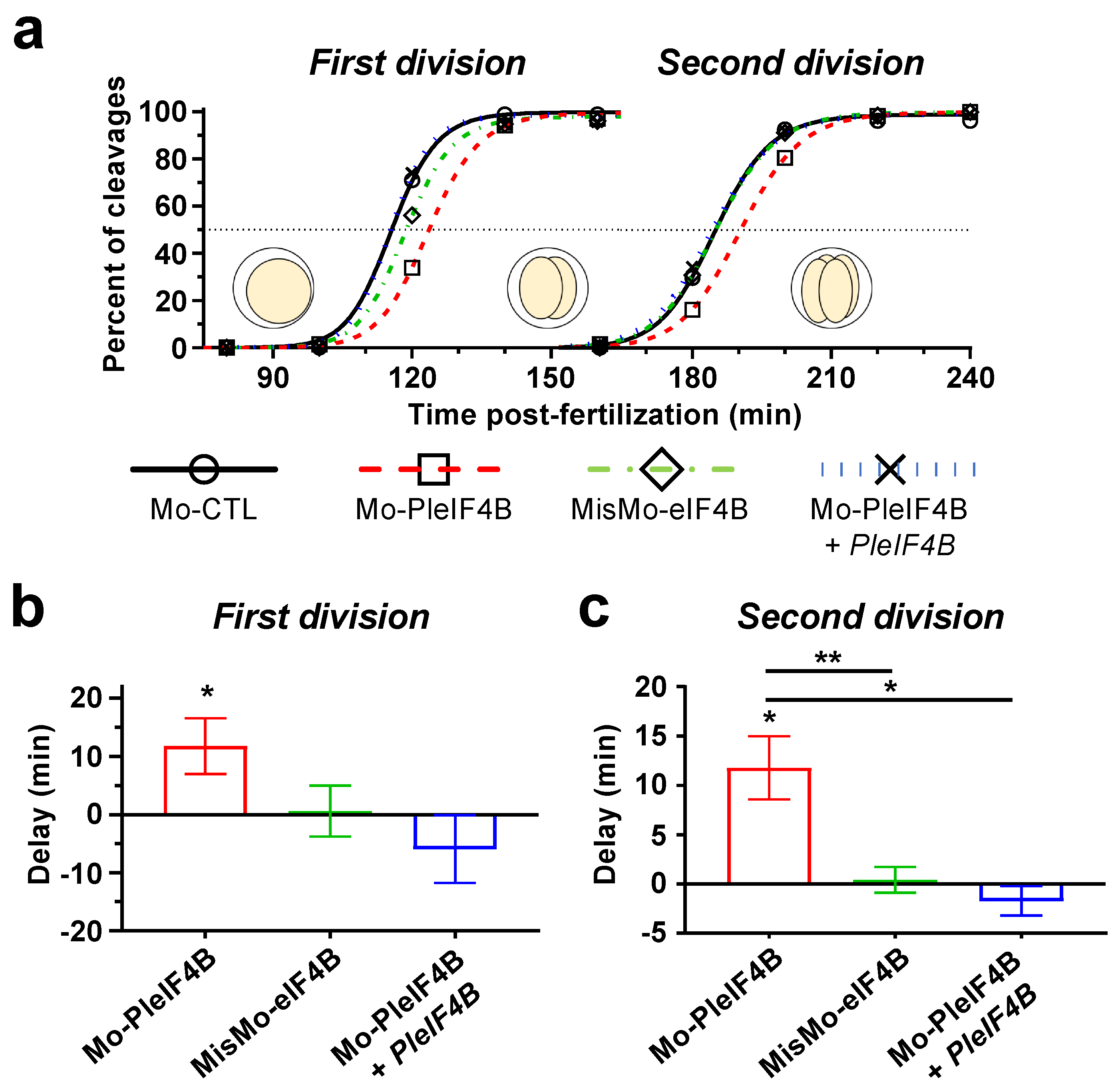 Biology 11 01408 g003