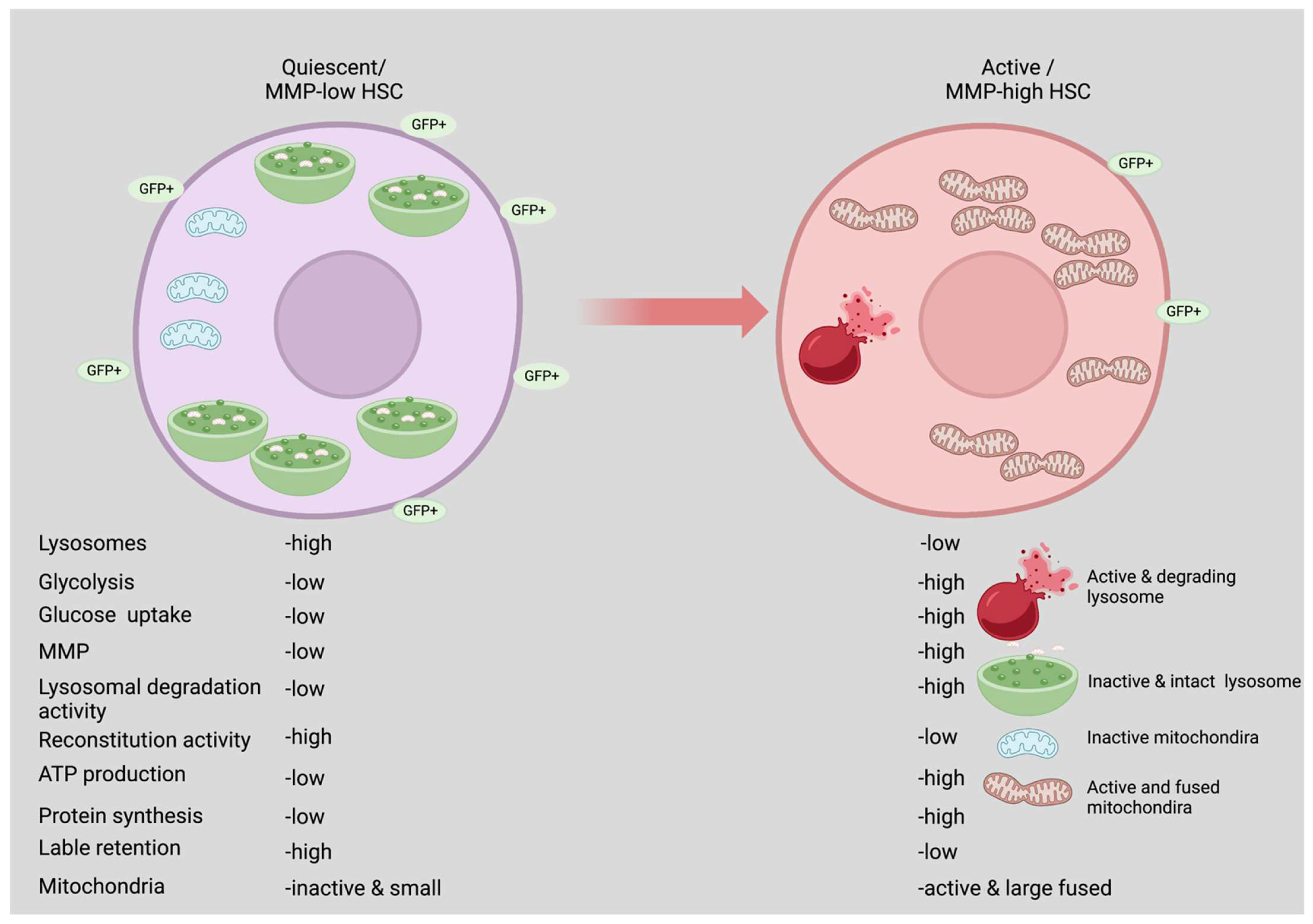 Biology 11 01410 g001 Biology 11 01410 g001