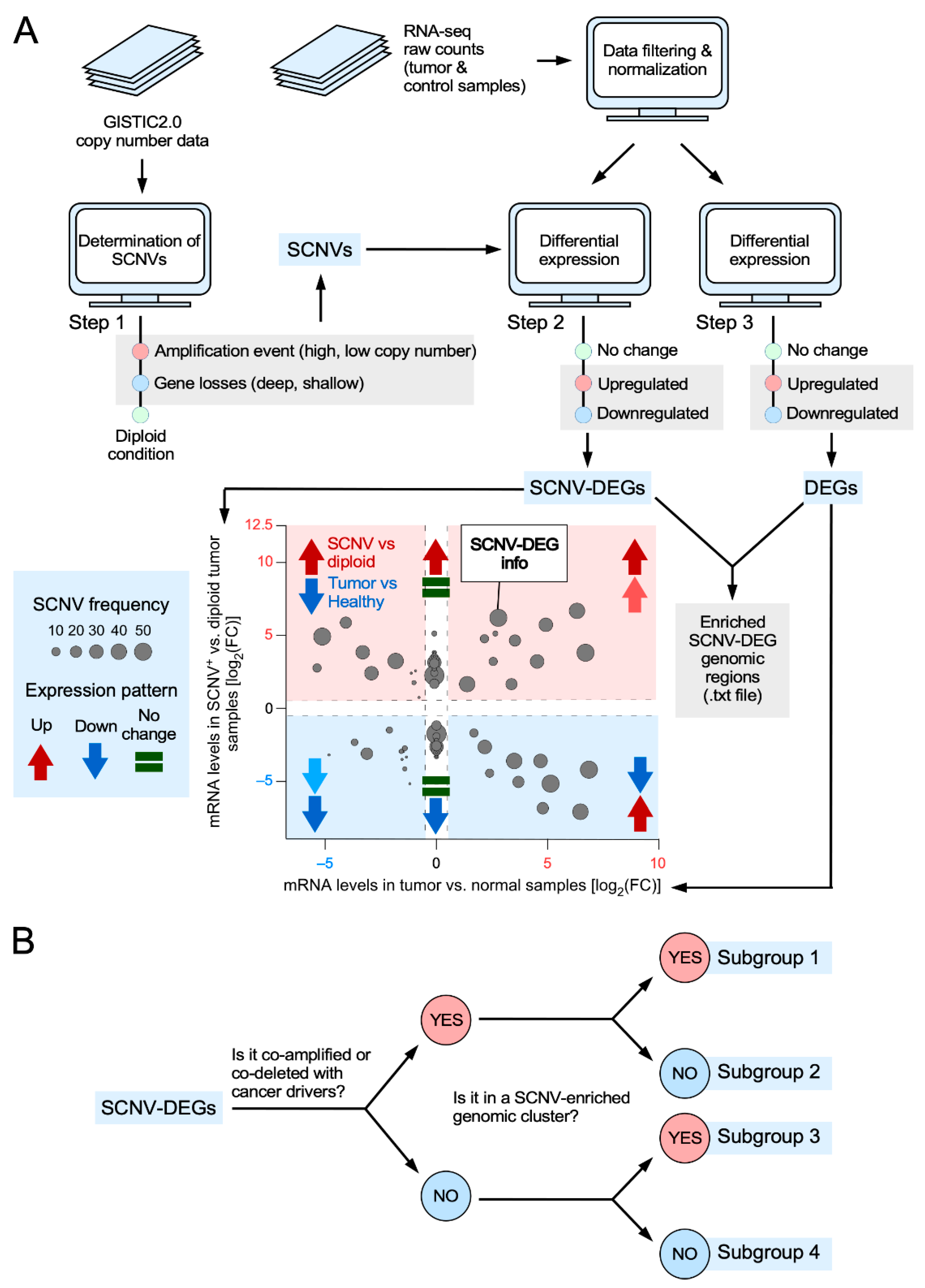 Biology 11 01411 g001 Biology 11 01411 g001