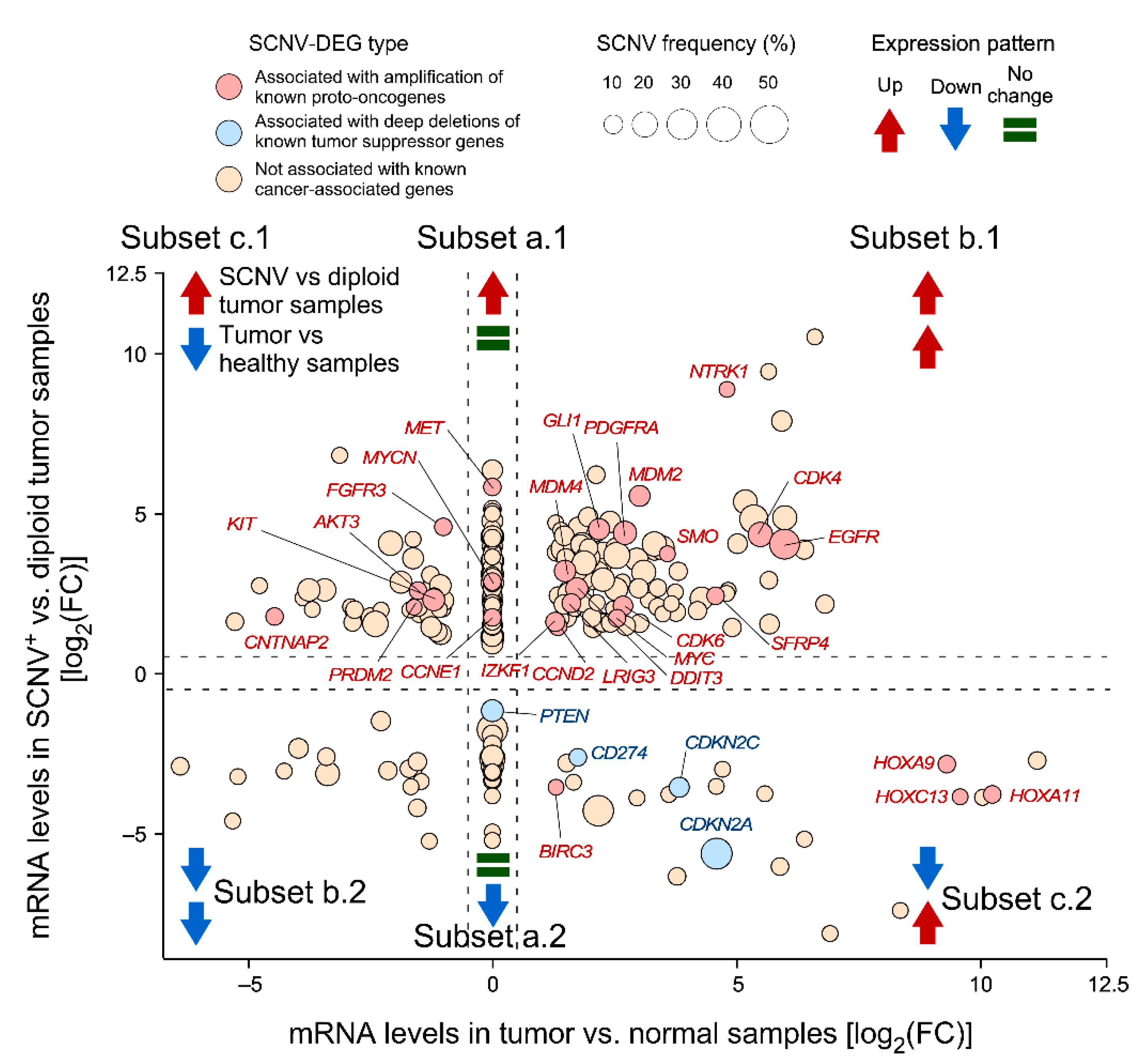 Biology 11 01411 g002 Biology 11 01411 g002